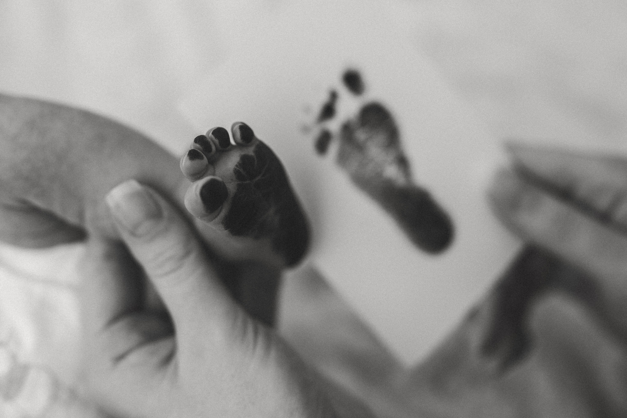 Vaniușa | primele zile de viață. Home