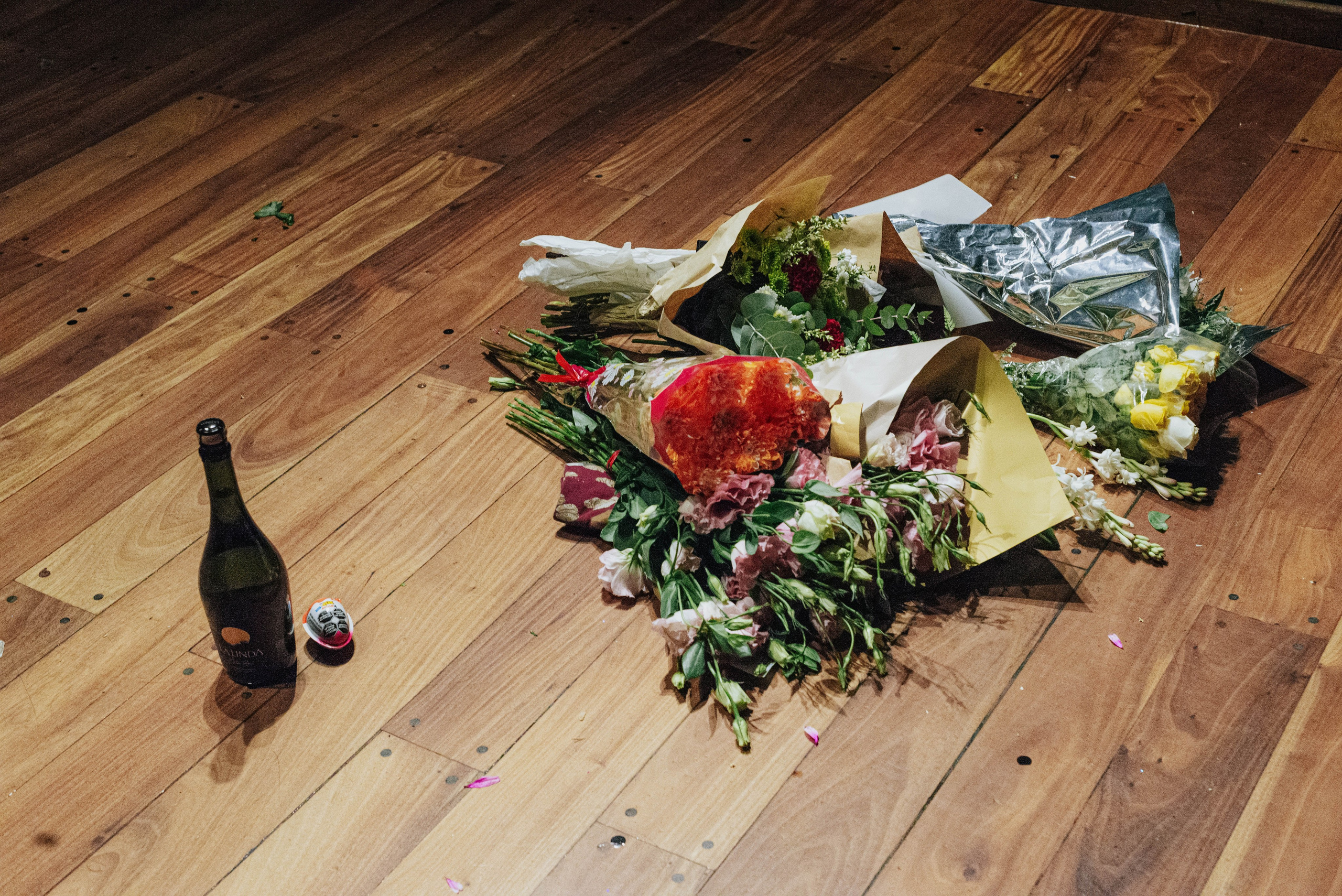 Анонс. Полковник и птицы. Фотограф @elmirkami в городе Буэнос-Айрес