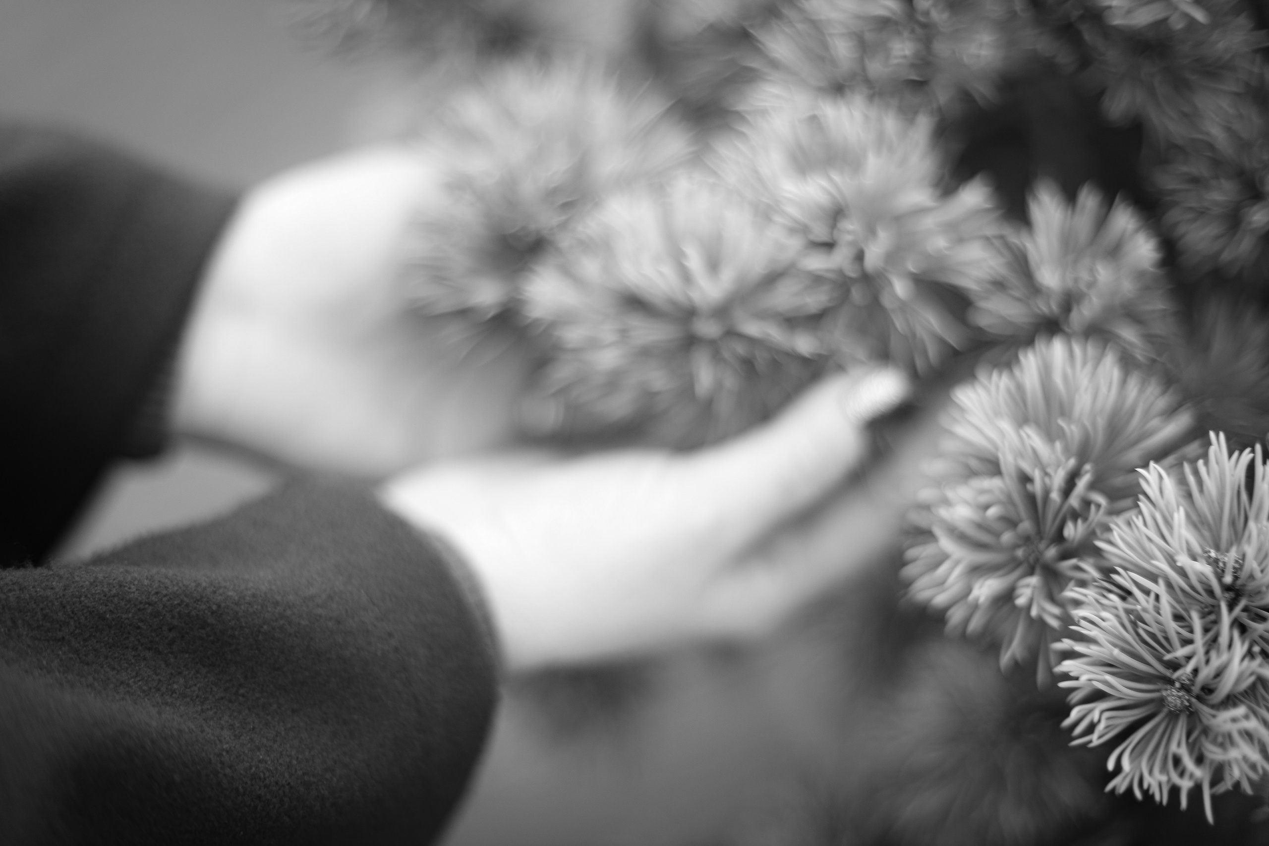 Laura. Family and Portraits photographer Diana Andoni