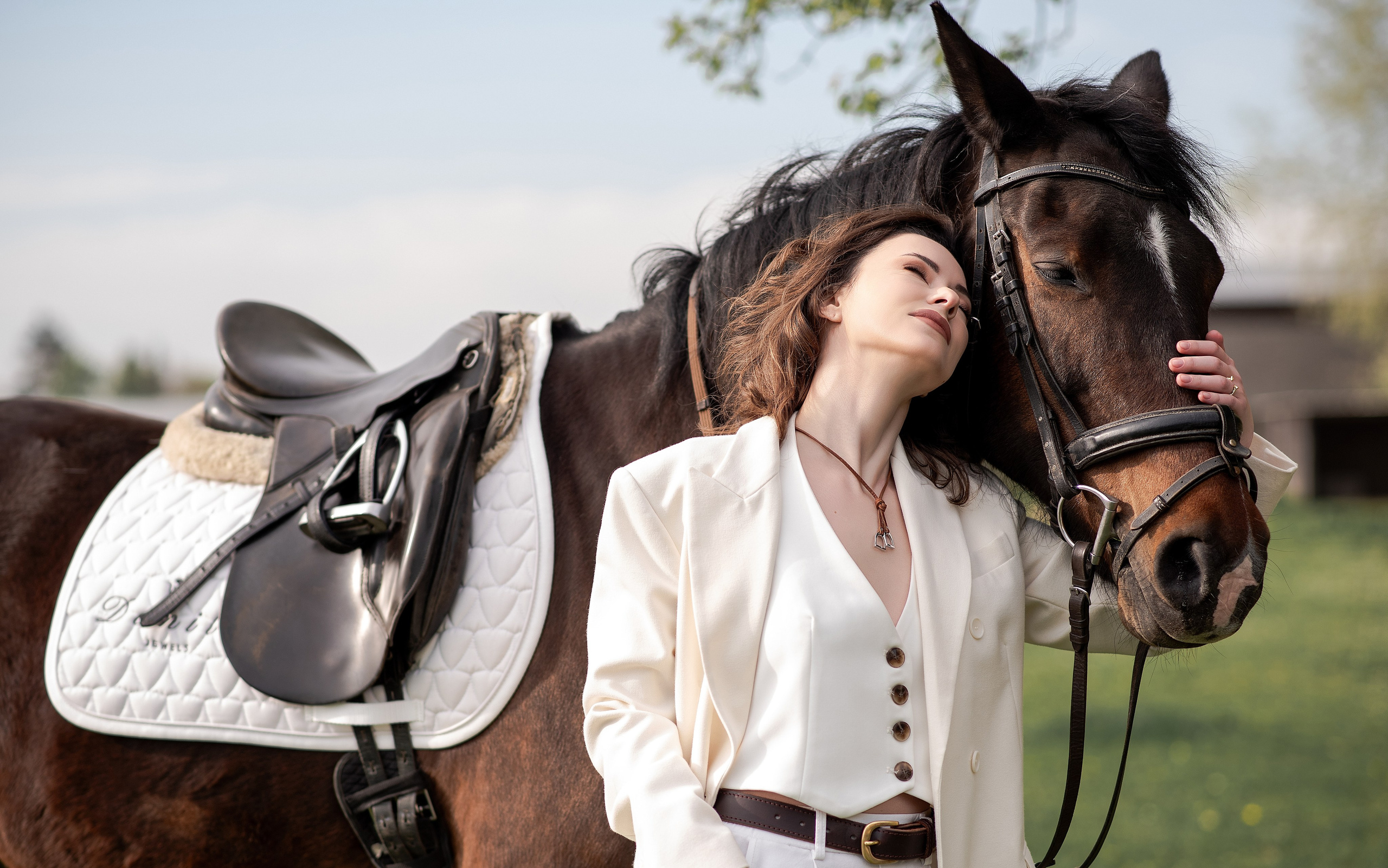 Photoshoot with Horses. Professional Photograher, Antwerpen/Belgium