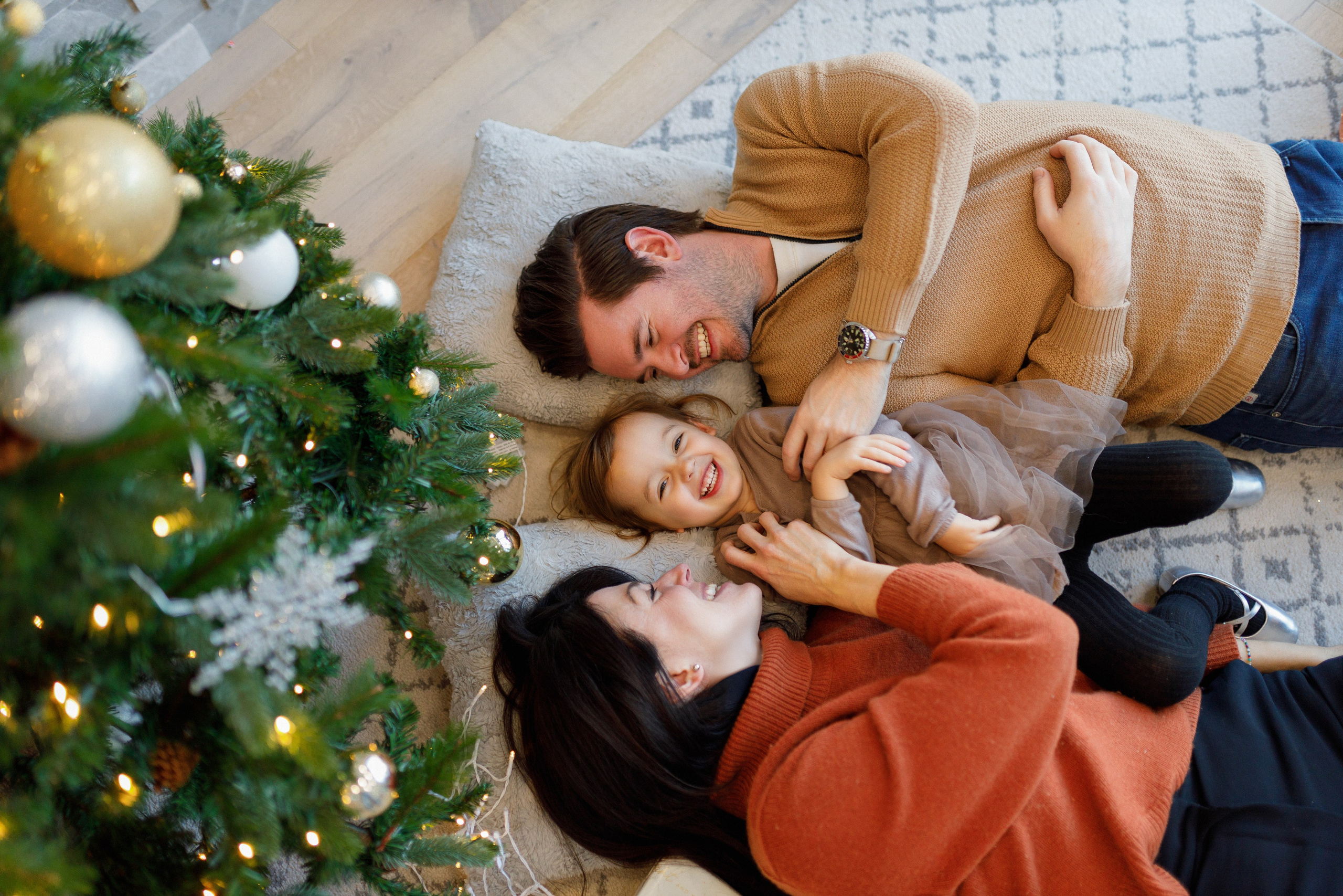 Christmas minis 2025. Home