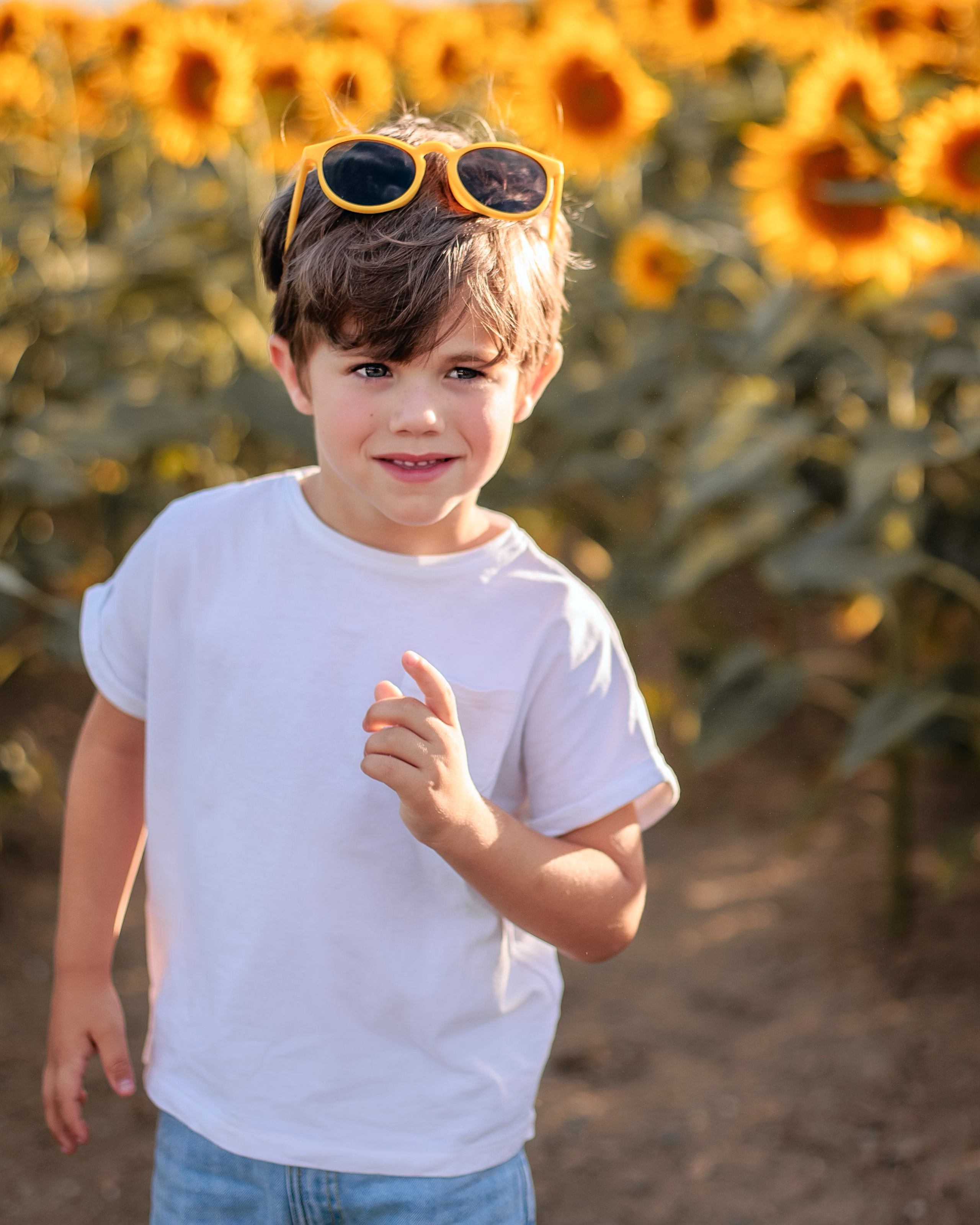 Luka (Prangins Switzerland). Home