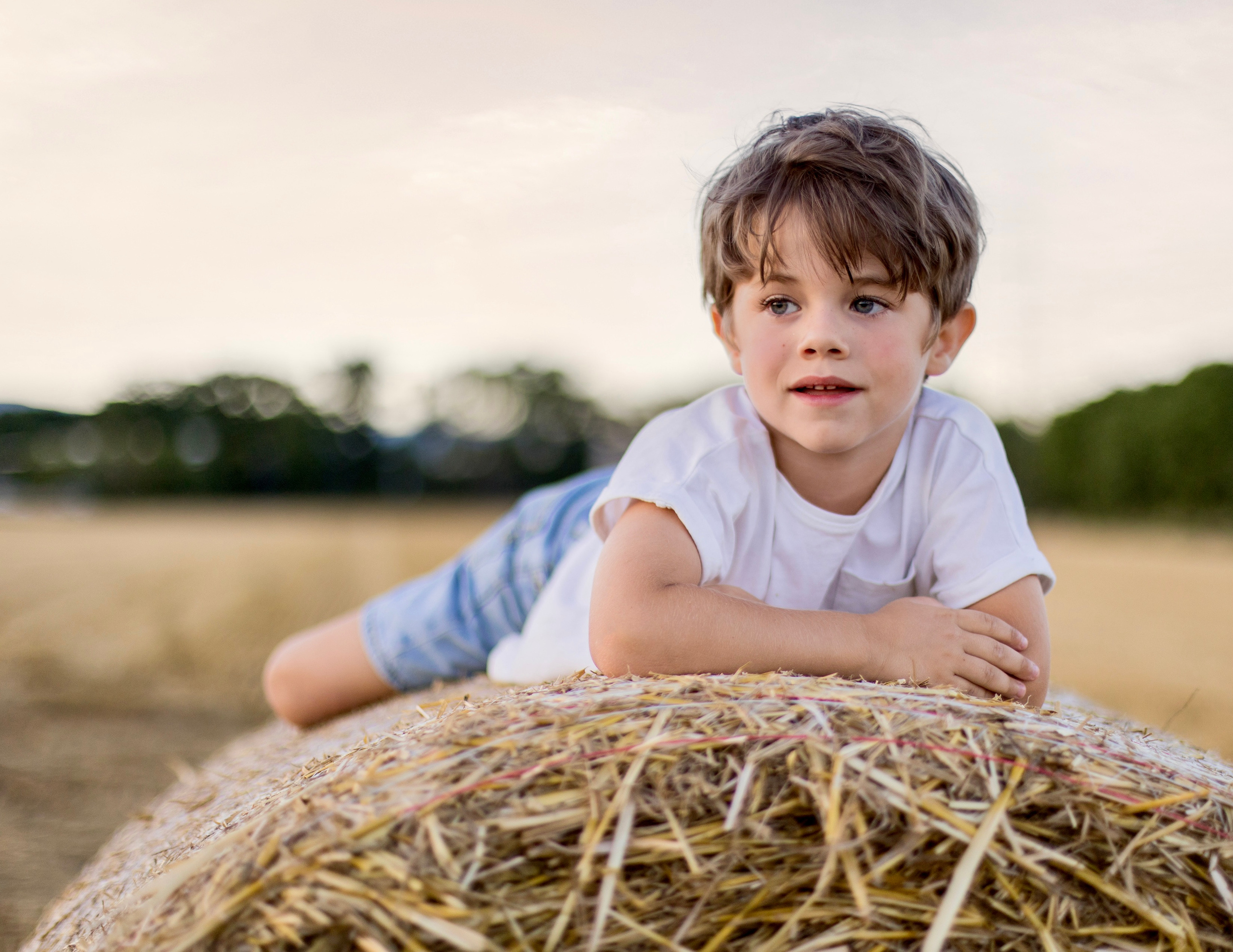 Luka (Prangins Switzerland). Home