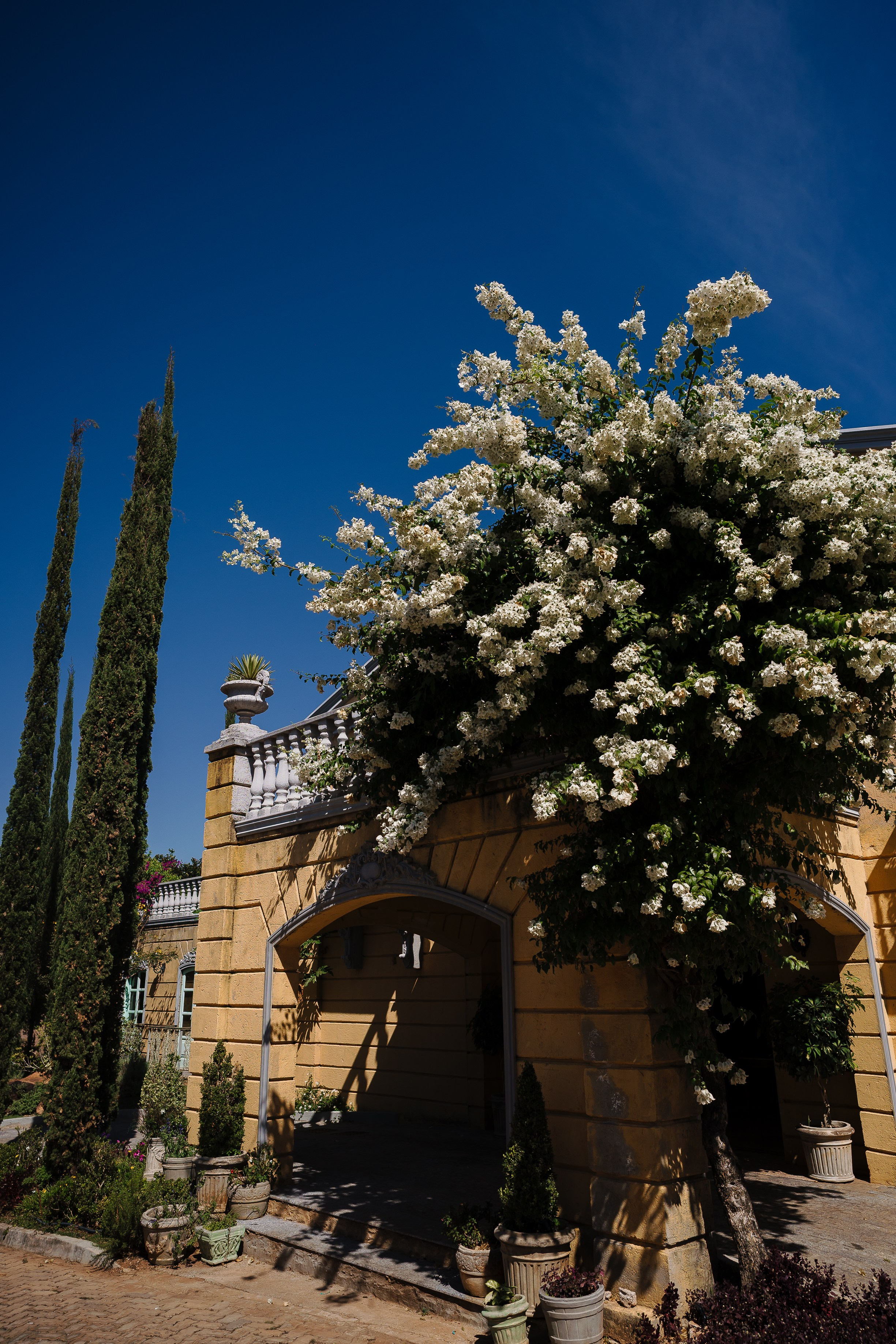 Esther — Villa Giardinni. Fotógrafo de Casamentos
