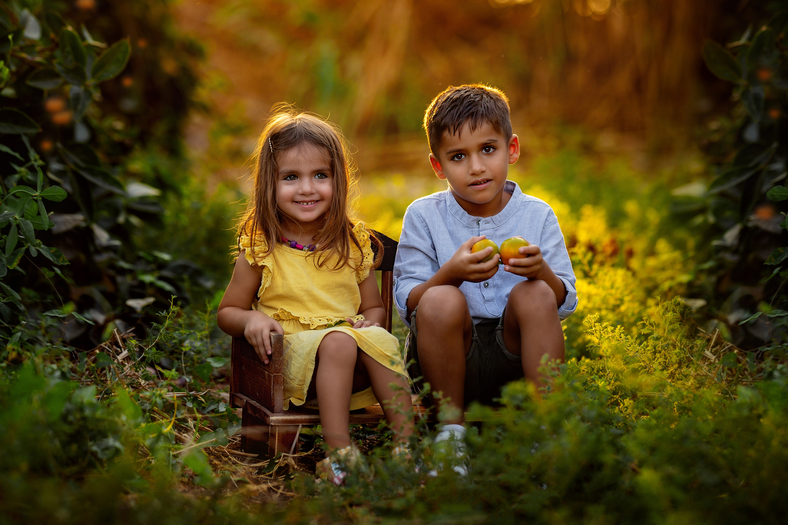 שיר-צילומי משפחה. דיאנה פרידמן-צלמת משפחה וילדים בישראל