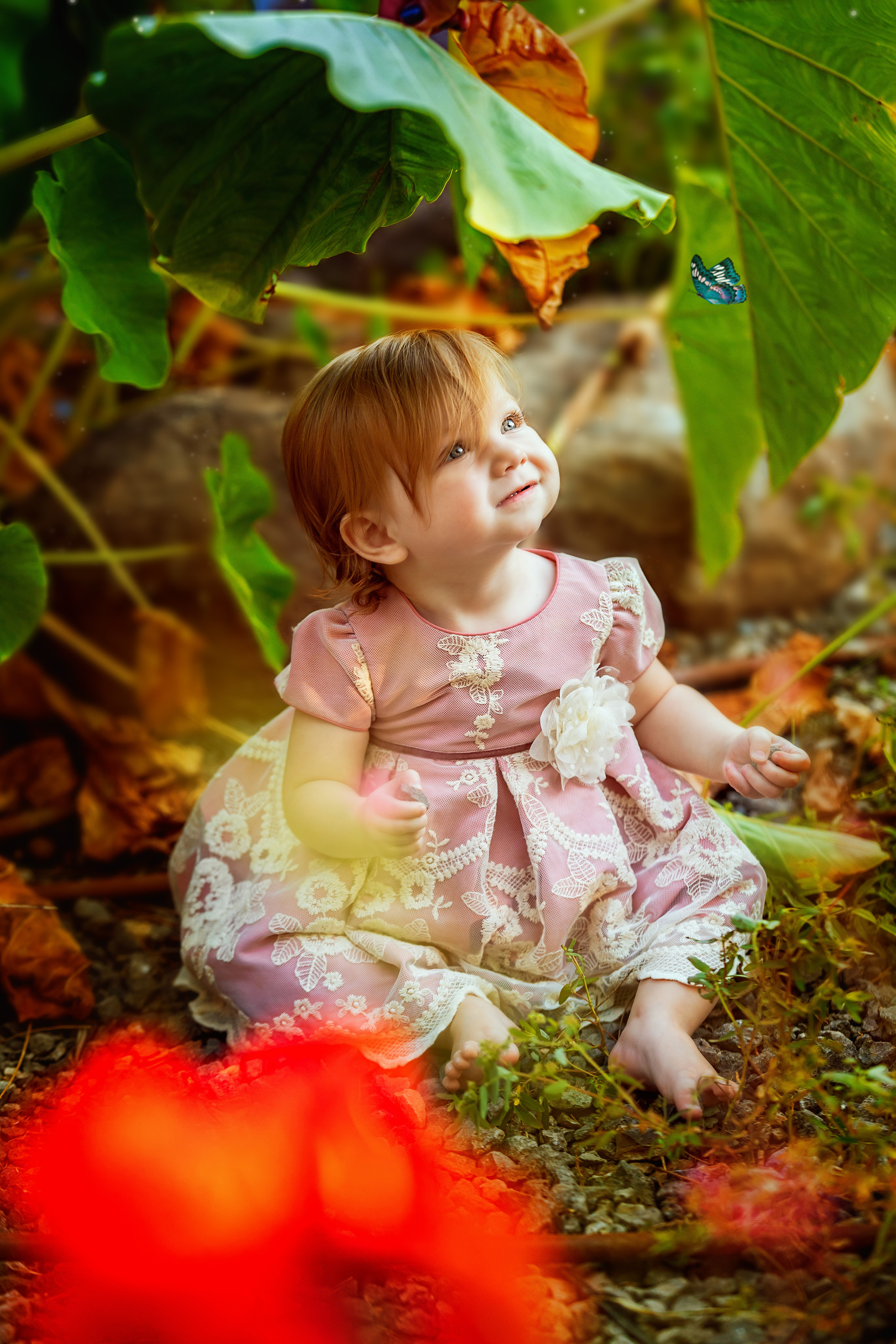 גיל שנה. דיאנה פרידמן-צלמת משפחה וילדים בישראל