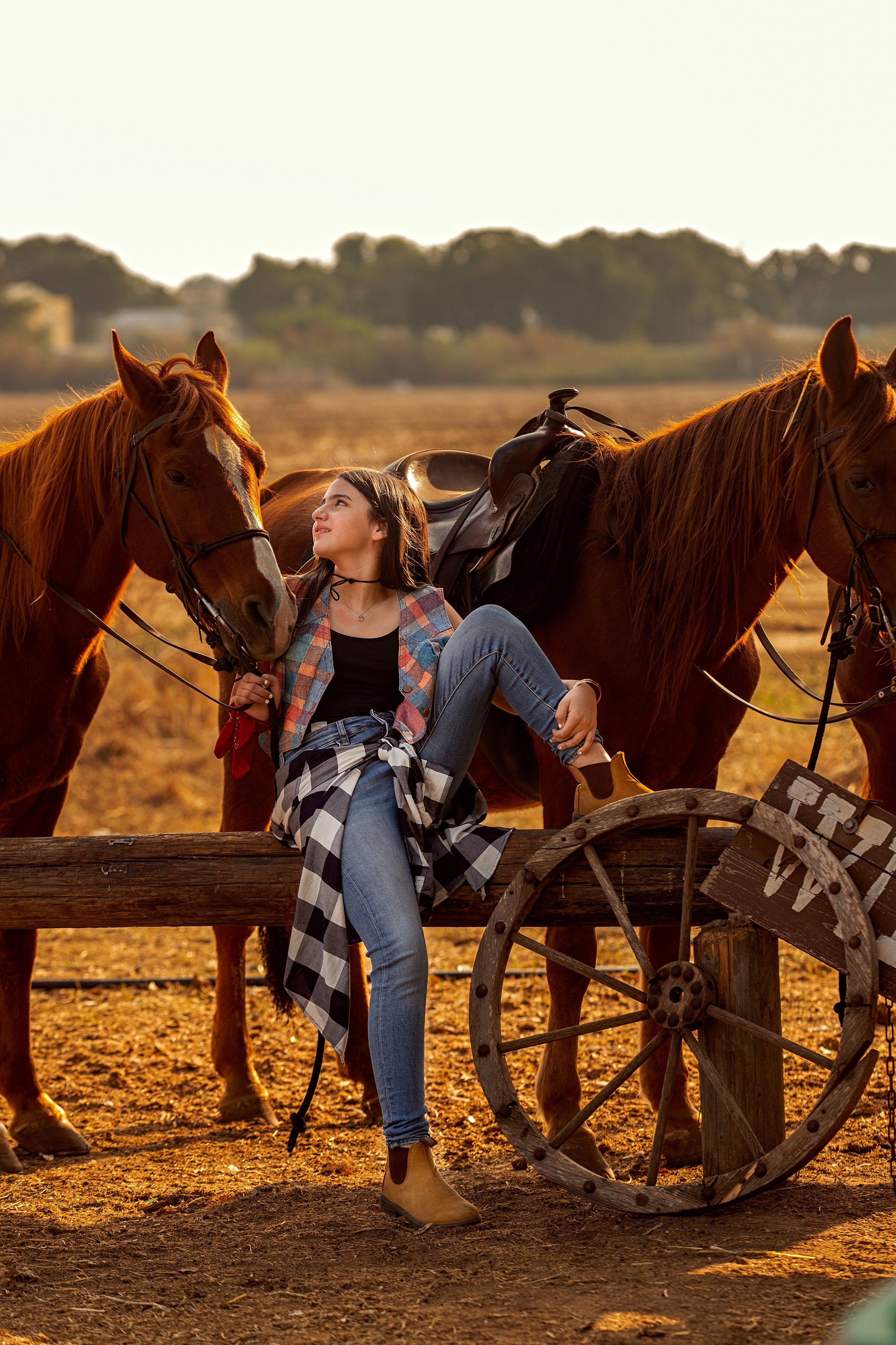 בוק בר/בת מצווה. דיאנה פרידמן-צלמת משפחה וילדים בישראל