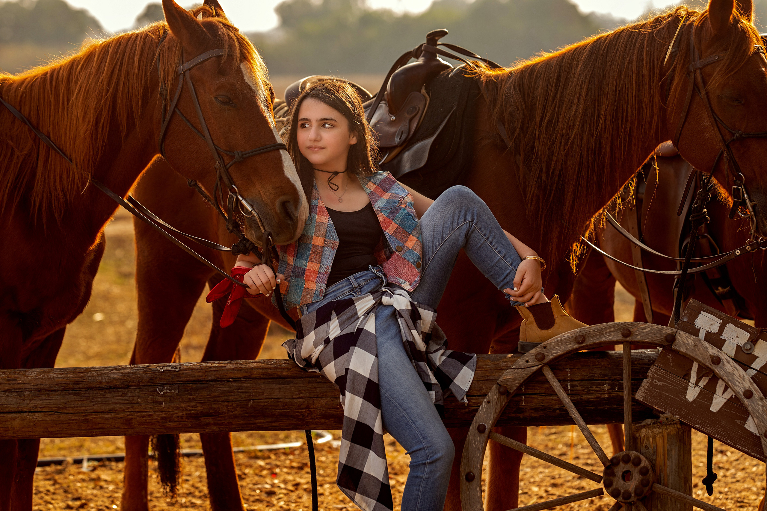 בוק בר/בת מצווה. דיאנה פרידמן-צלמת משפחה וילדים בישראל