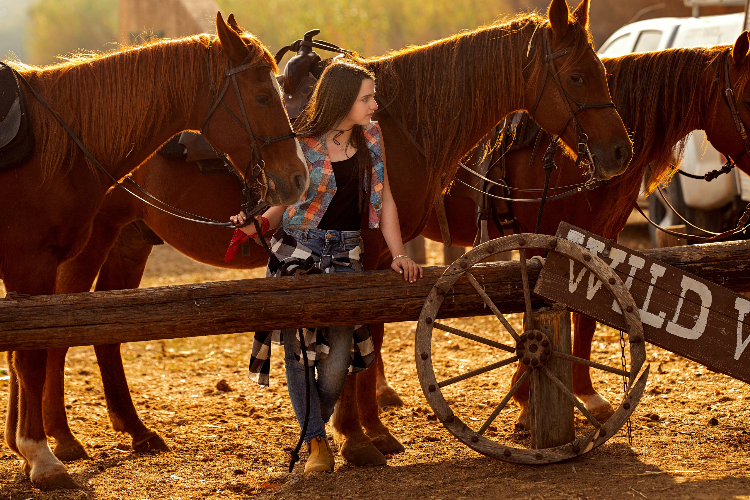 בוק בר/בת מצווה. דיאנה פרידמן-צלמת משפחה וילדים בישראל