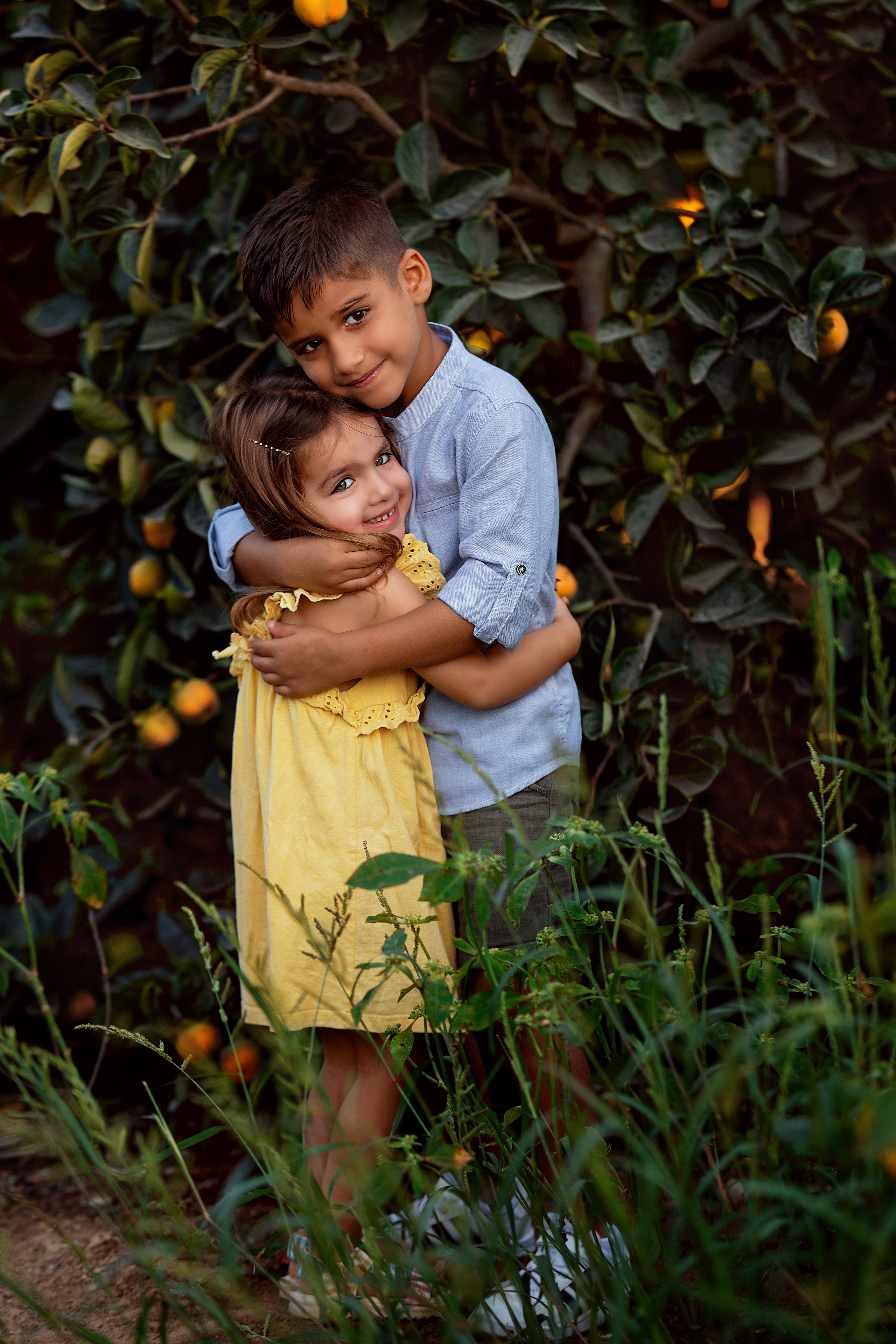 שיר-צילומי משפחה. דיאנה פרידמן-צלמת משפחה וילדים בישראל