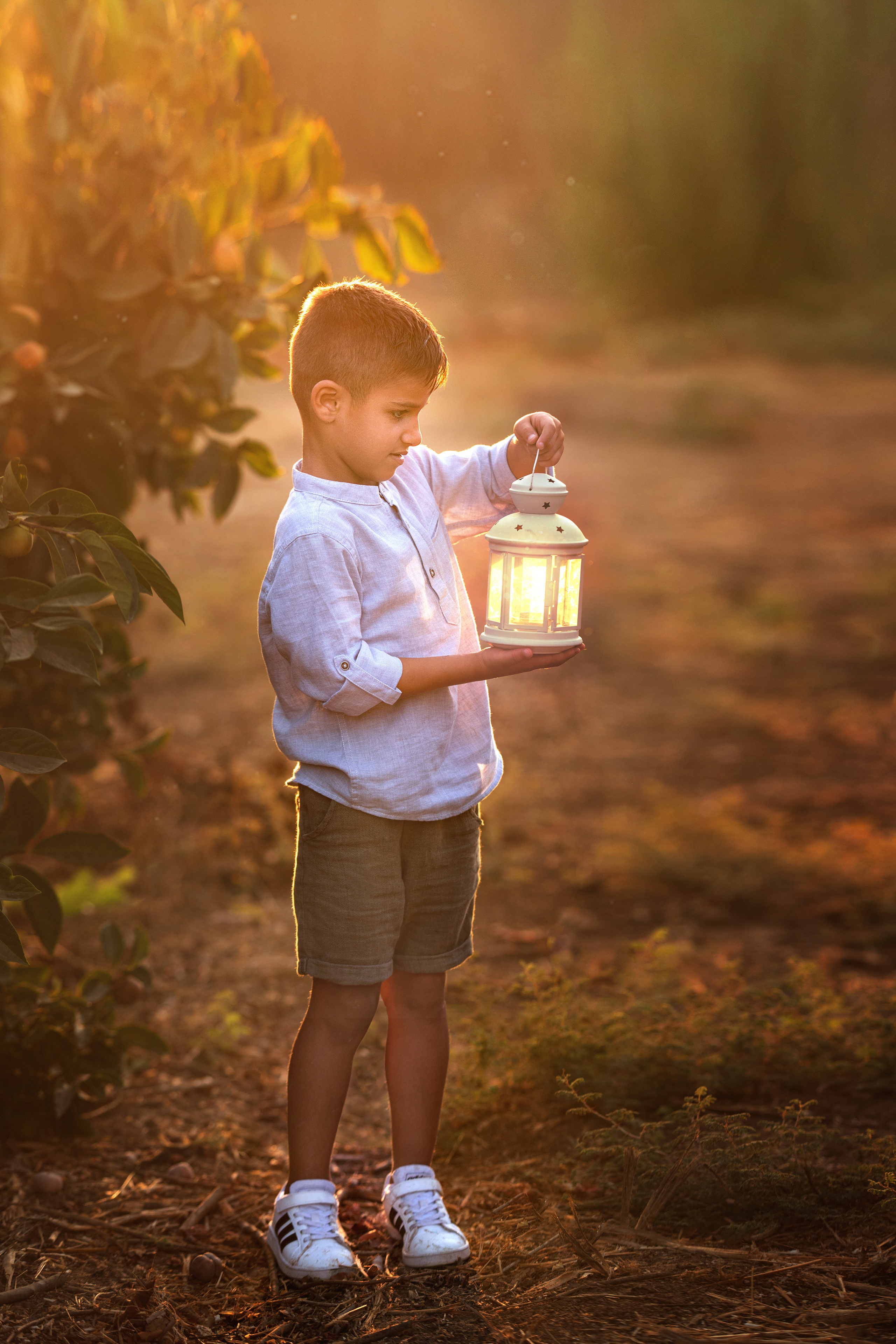 שיר-צילומי משפחה. דיאנה פרידמן-צלמת משפחה וילדים בישראל