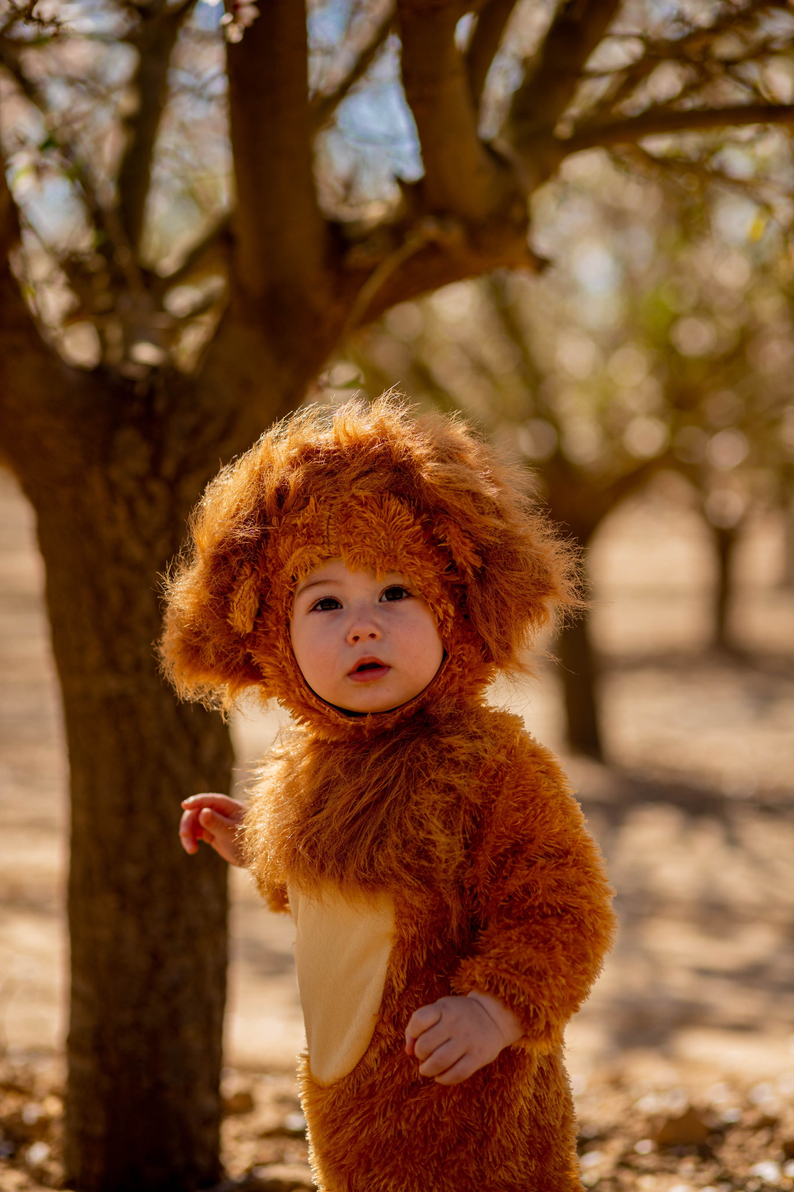פורים. דיאנה פרידמן-צלמת משפחה וילדים בישראל