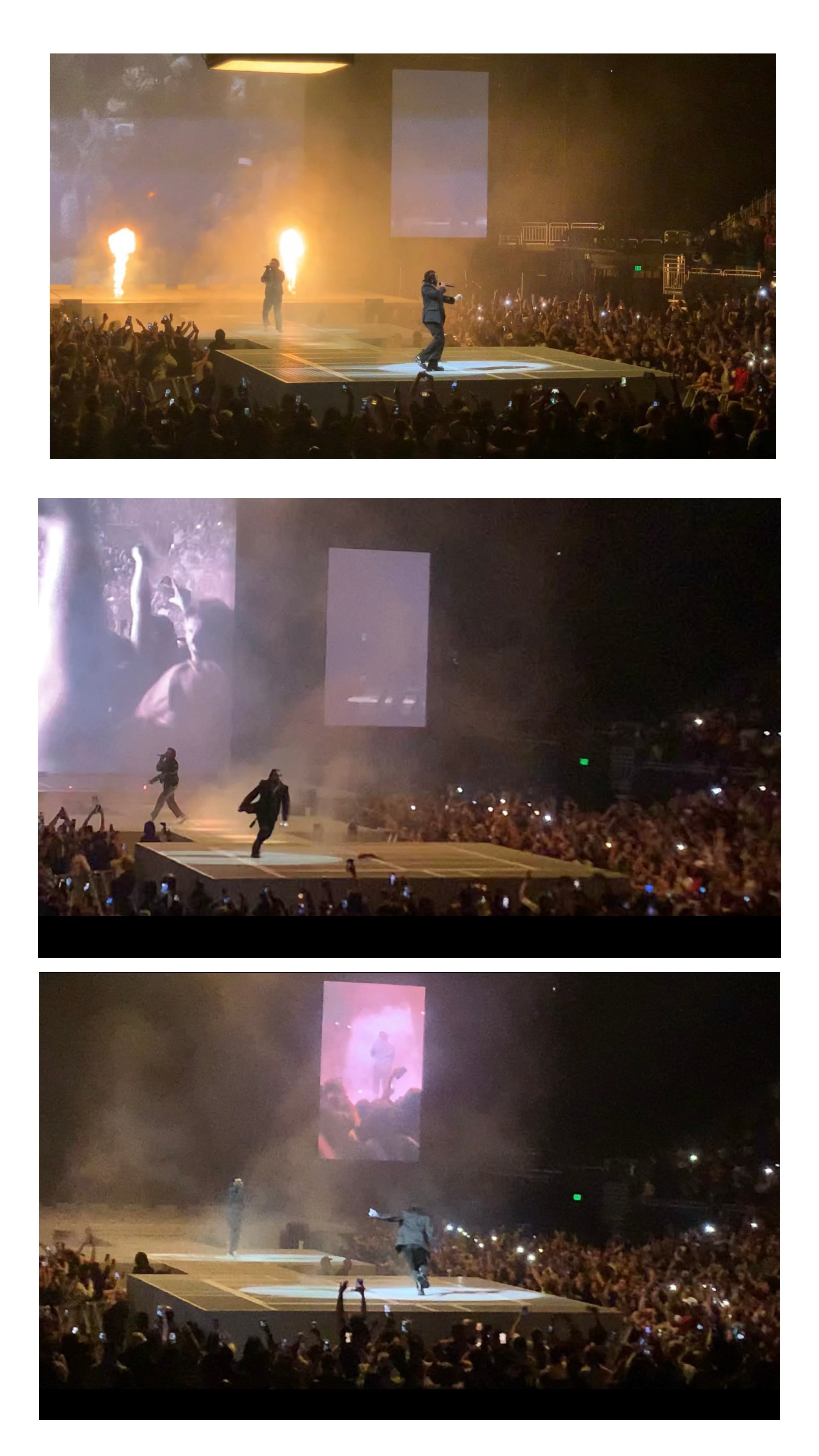 Lens Work From The Field 4