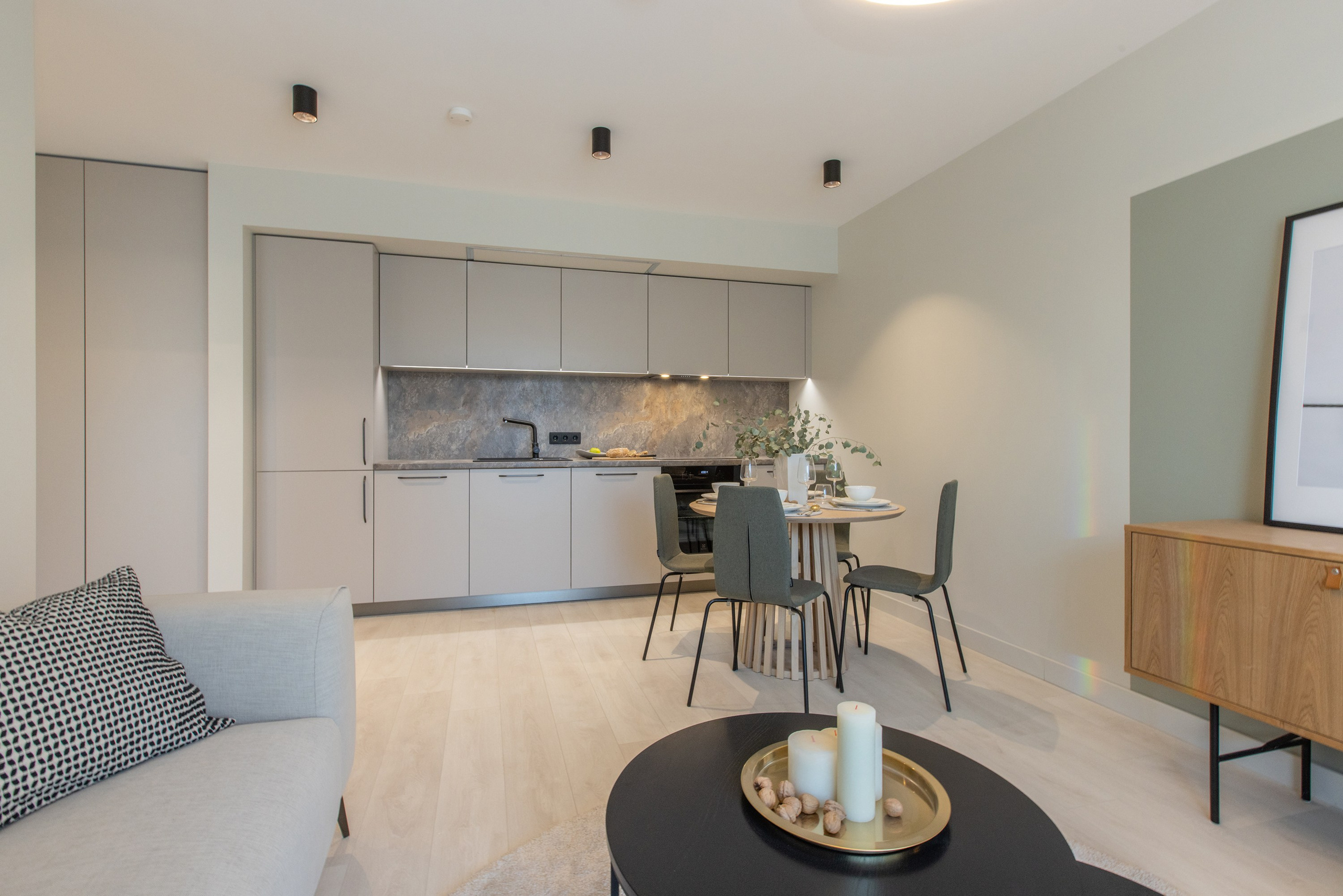 DEMO DZĪVOKLIS. Sākums