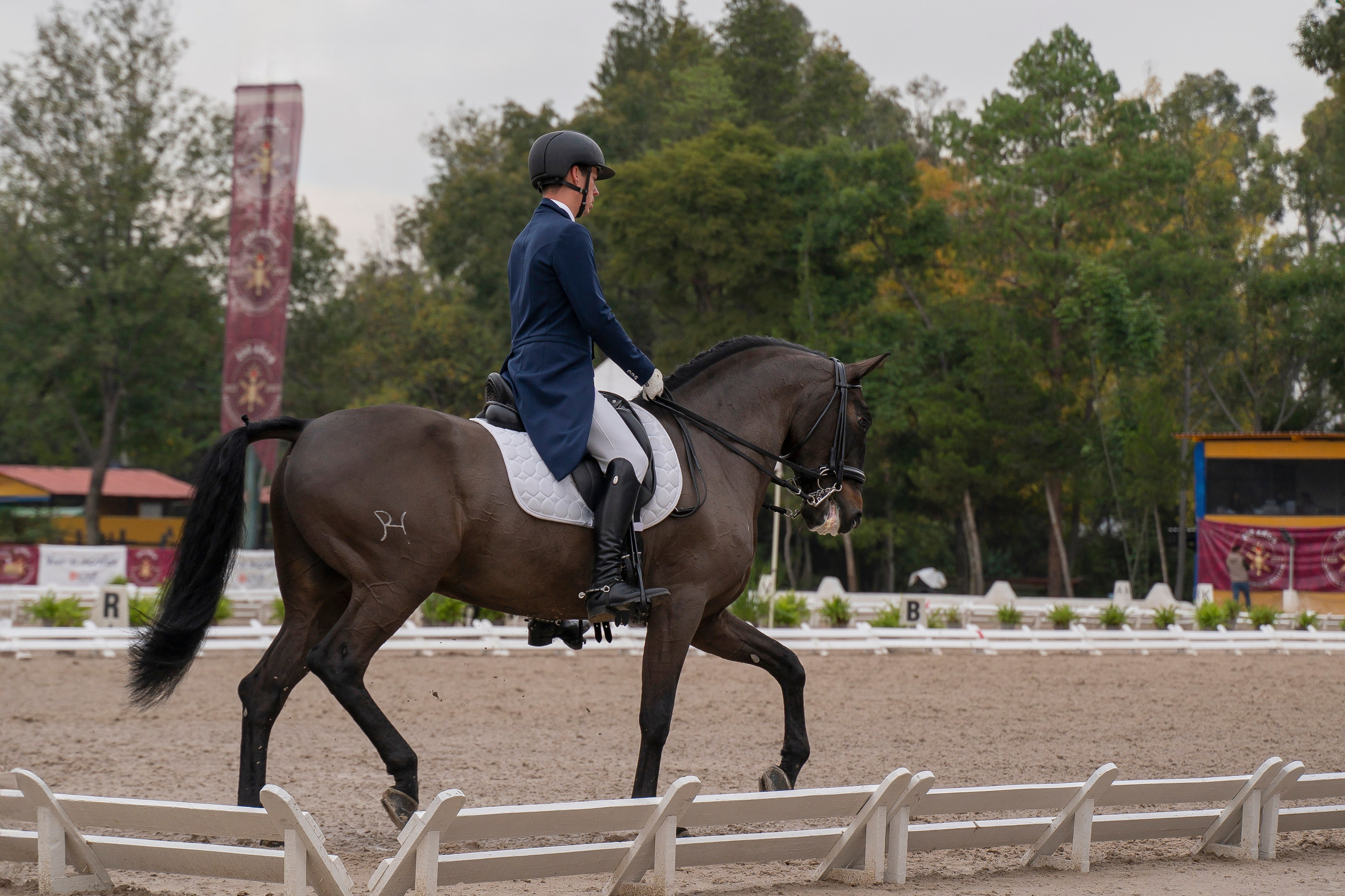 Sport events. Catrina Frolova photography