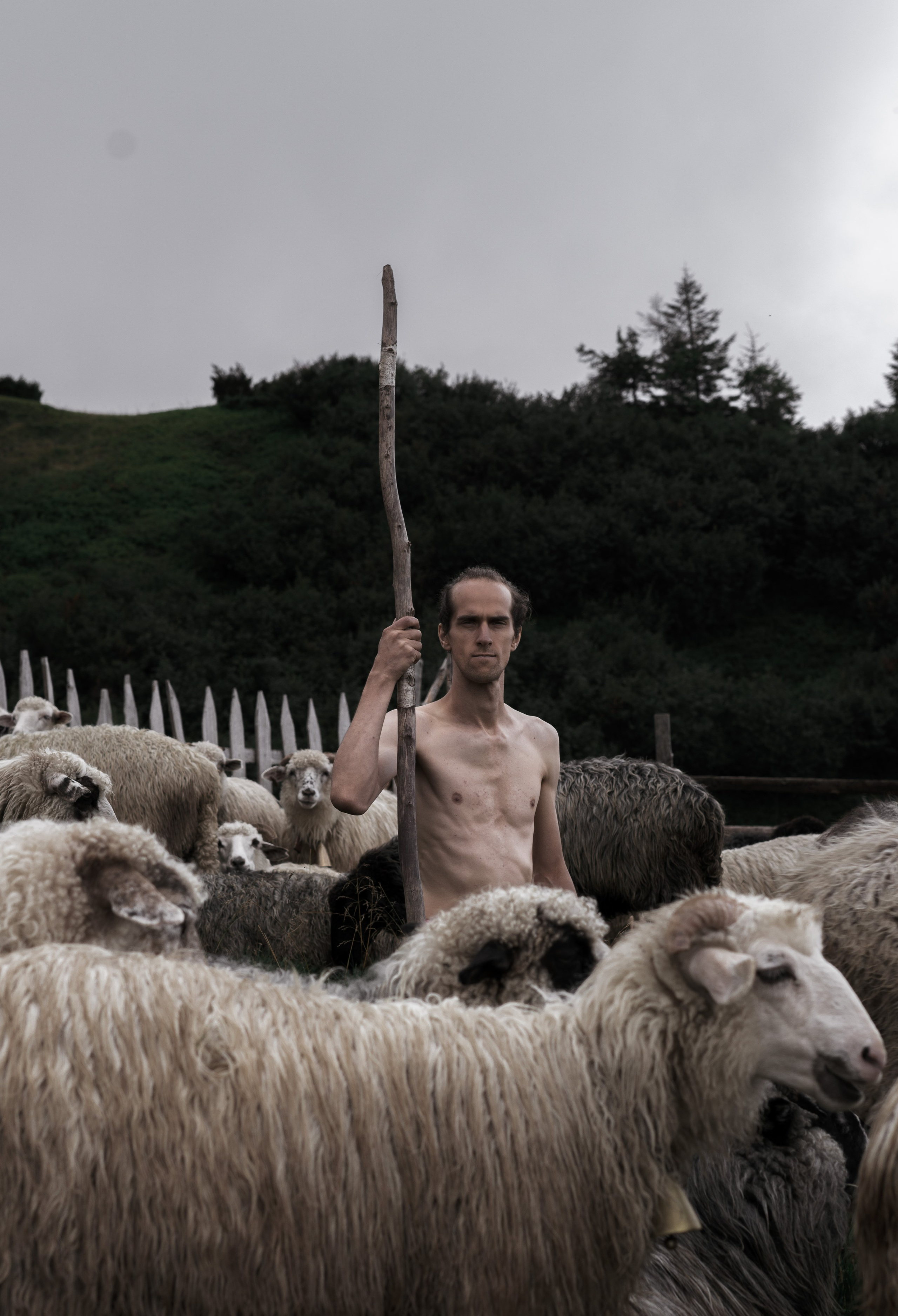 Portrait. Photographer and videographer for business in Tbilisi Catrine Poznyak