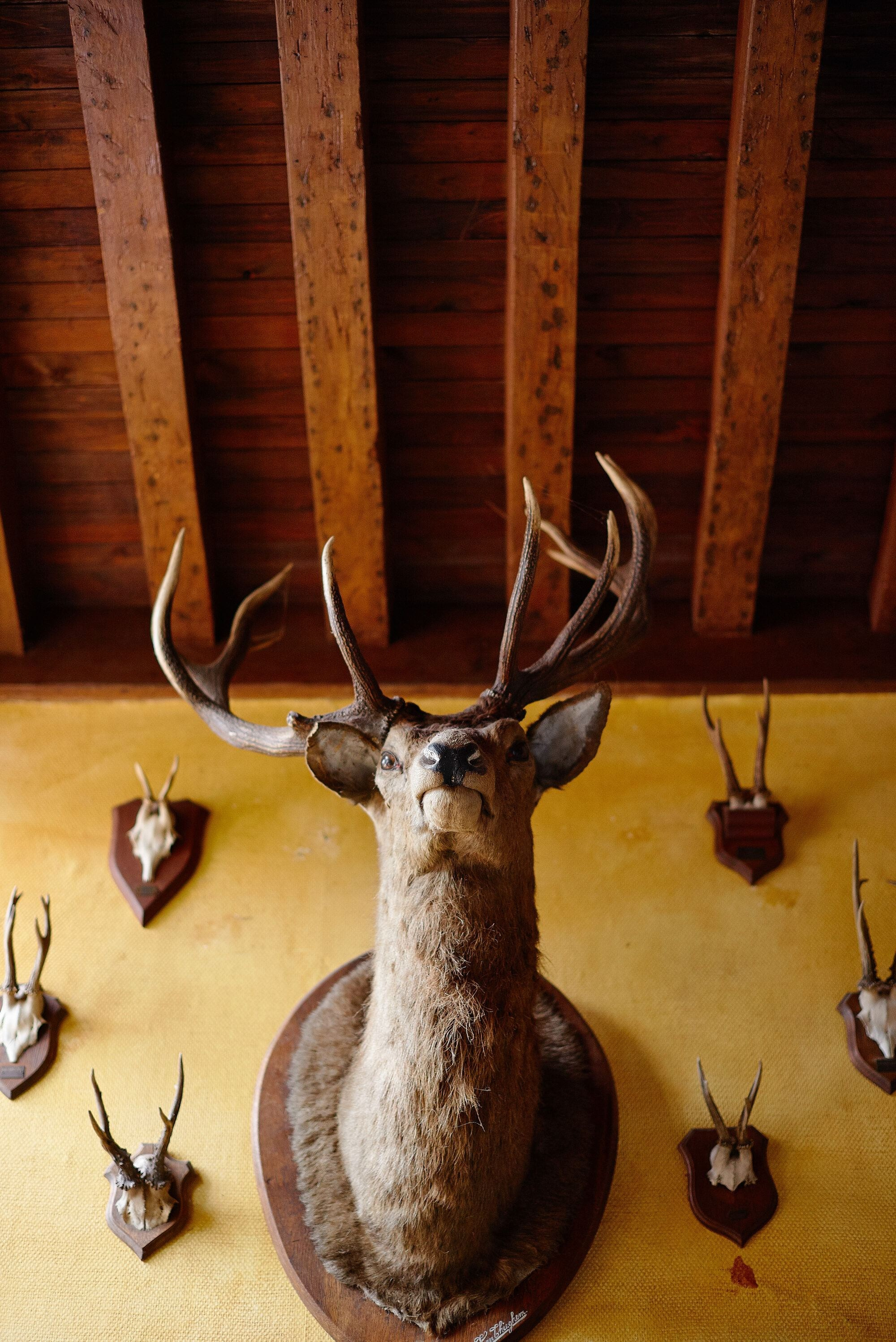 Wedding at Groot-Bijgaarden Castle, Brussels — Destination Wedding Photography Belgium. Bella Vita Weddings — Wedding Photography in Dubai & Destination
