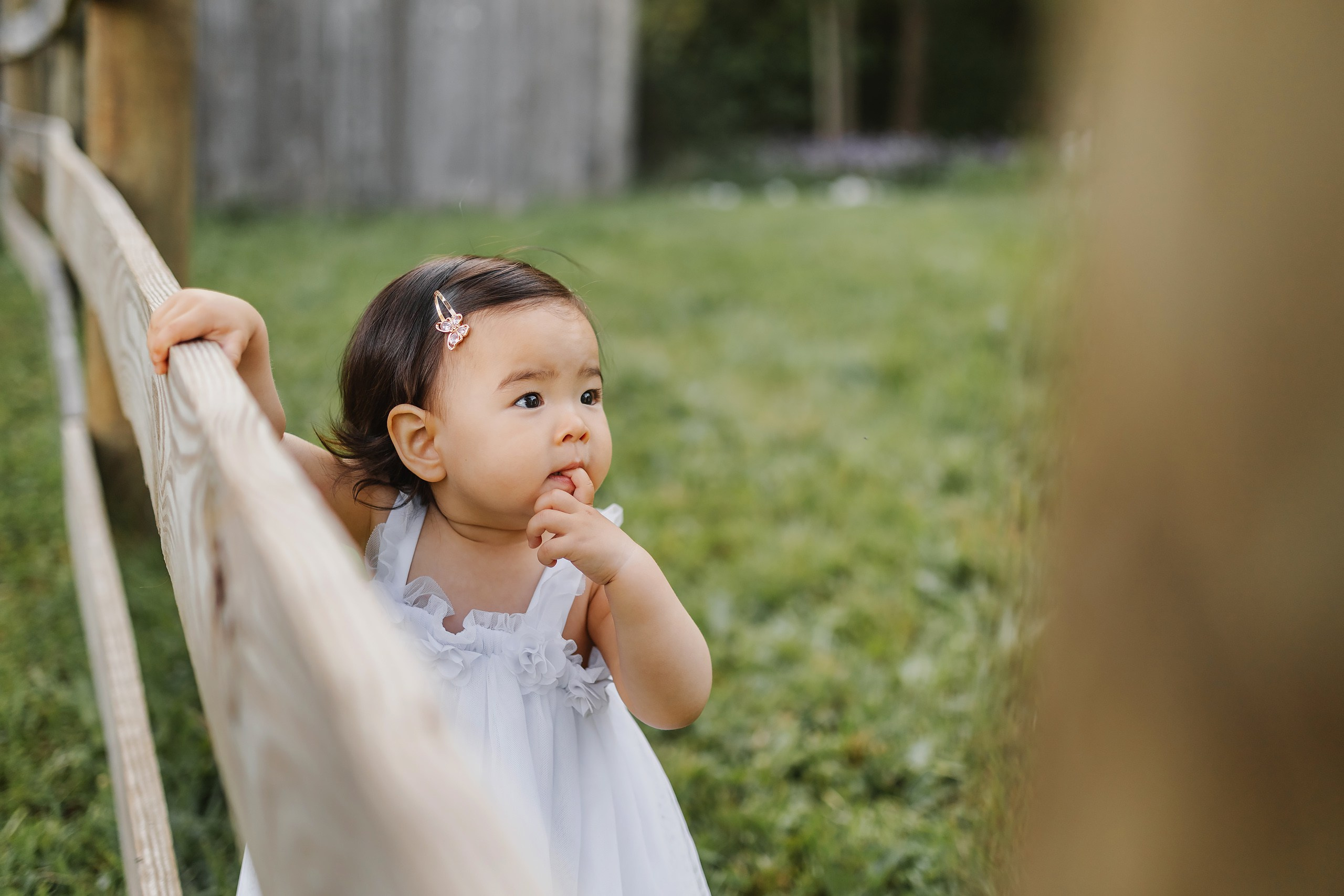 05.25.26 Family Photoshoot. Wedding family event photographer in Chicago Nick Yushevich