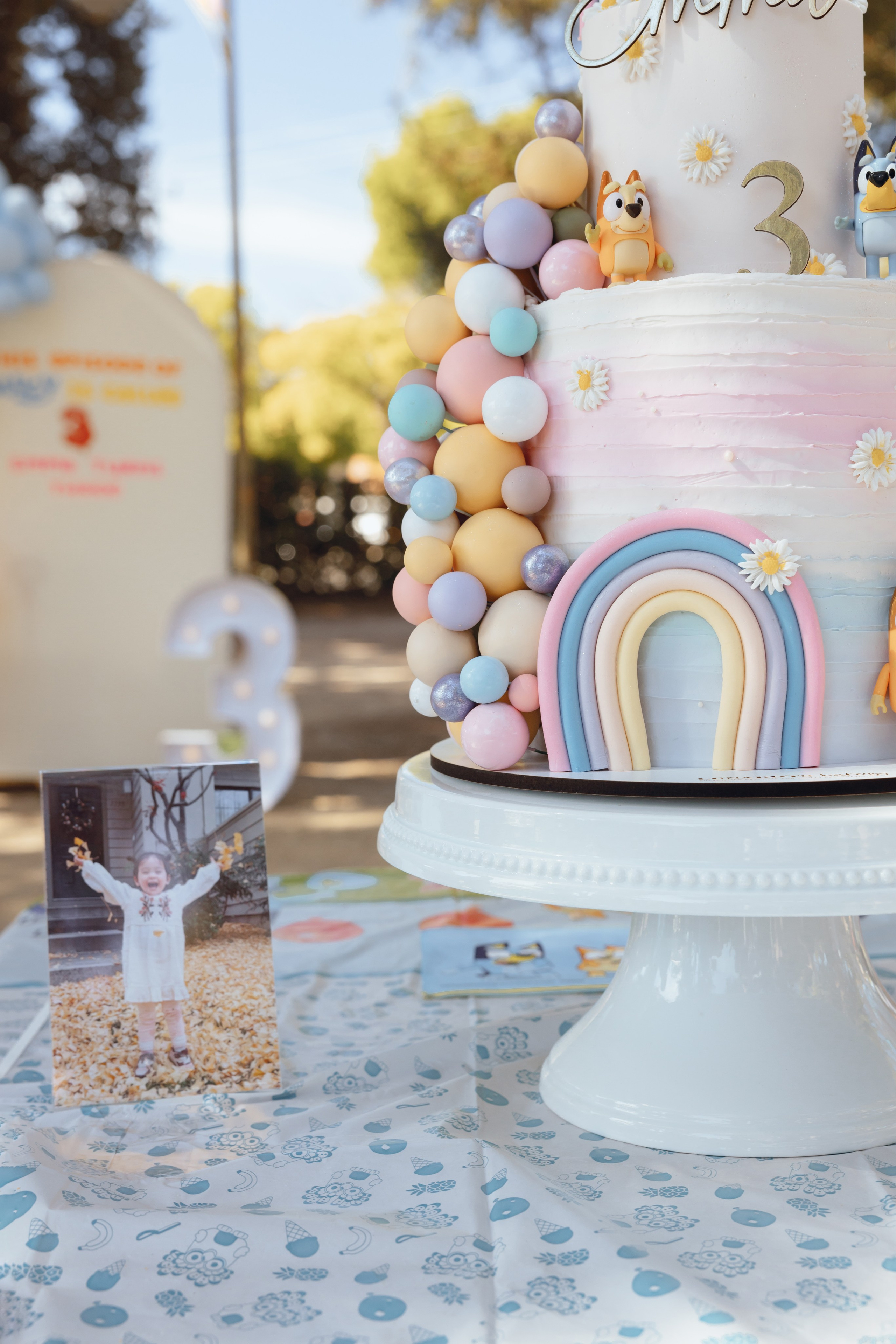3rd birthday. Family and Event photographer in Bay Area Elena Tiuriumina