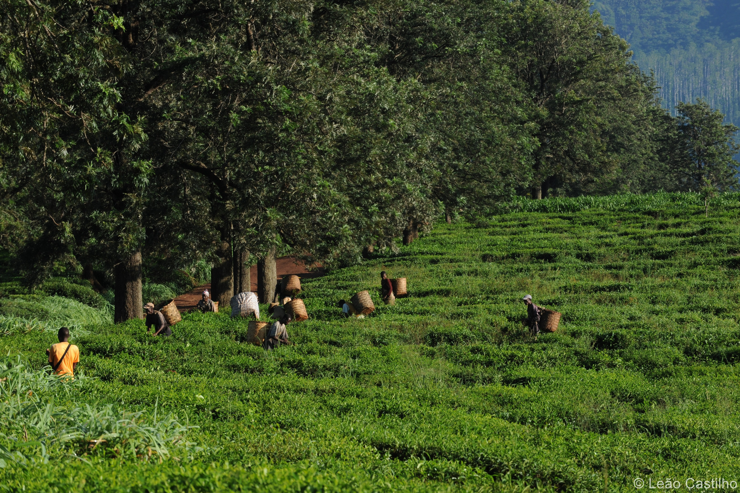 Photos from Mozambique people 1. Simbahalu