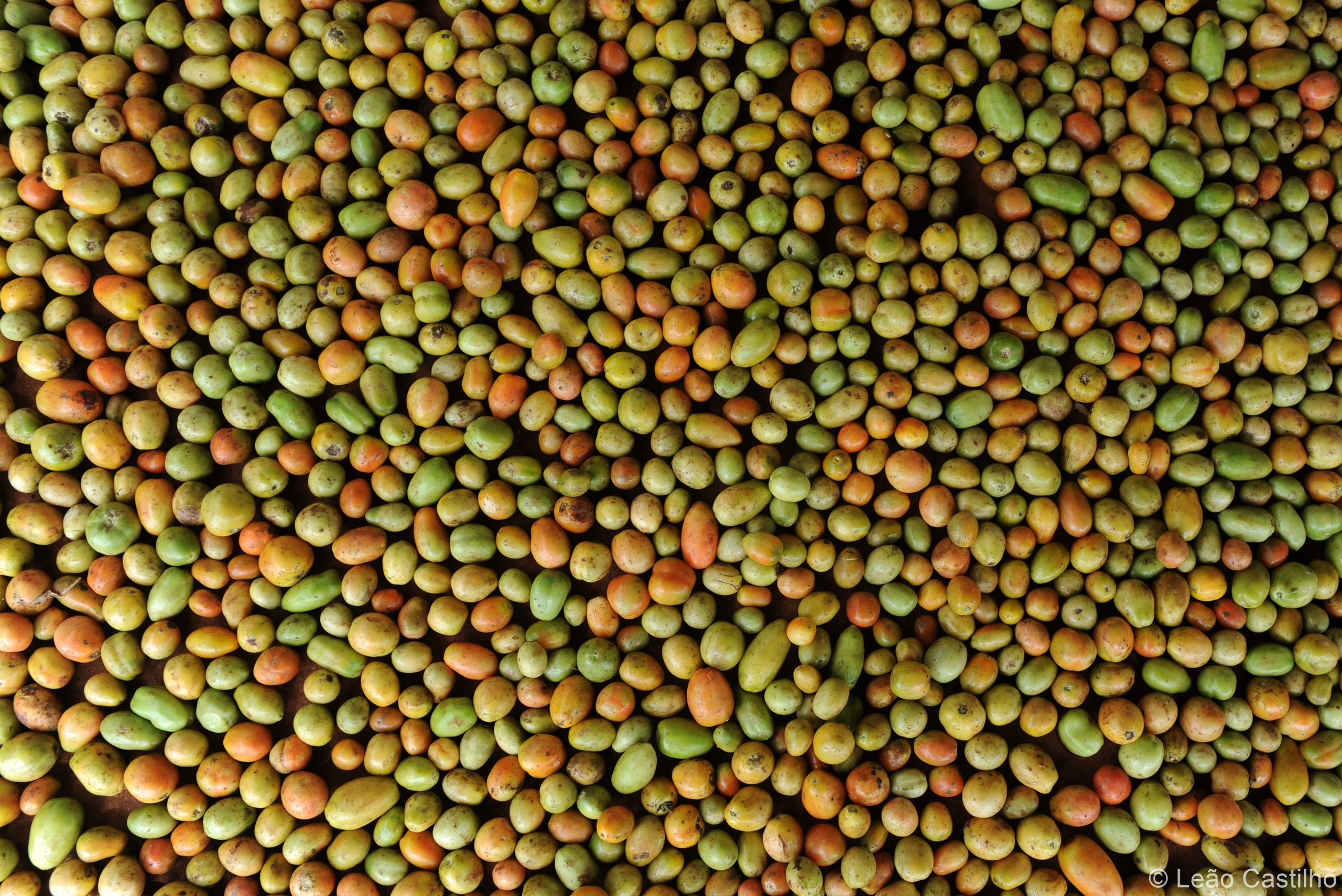 Photos from Mozambique. Simbahalu