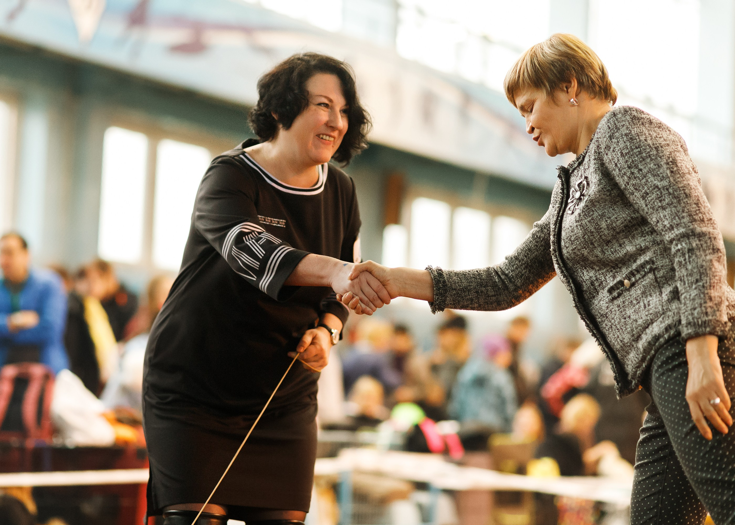 Dog shows | the best ones. Kaja | fotograf psów we Wrocławiu