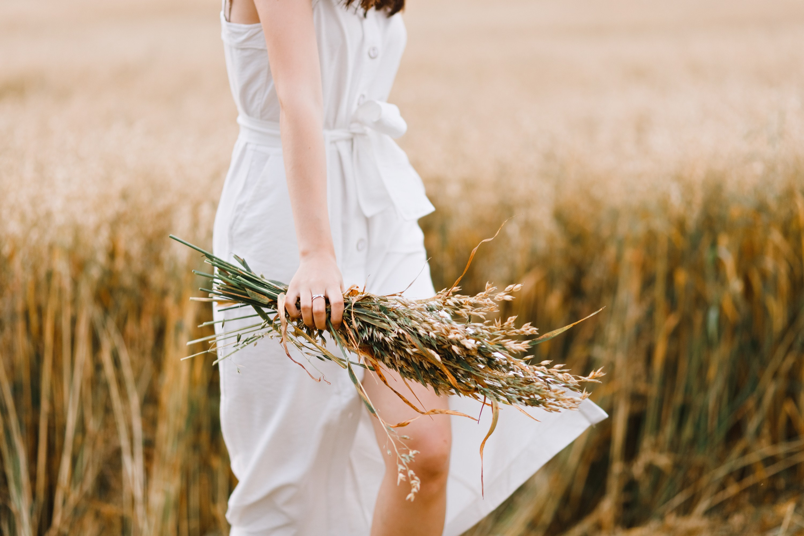 Katya | tenderness in the field. Kaja | fotograf psów we Wrocławiu