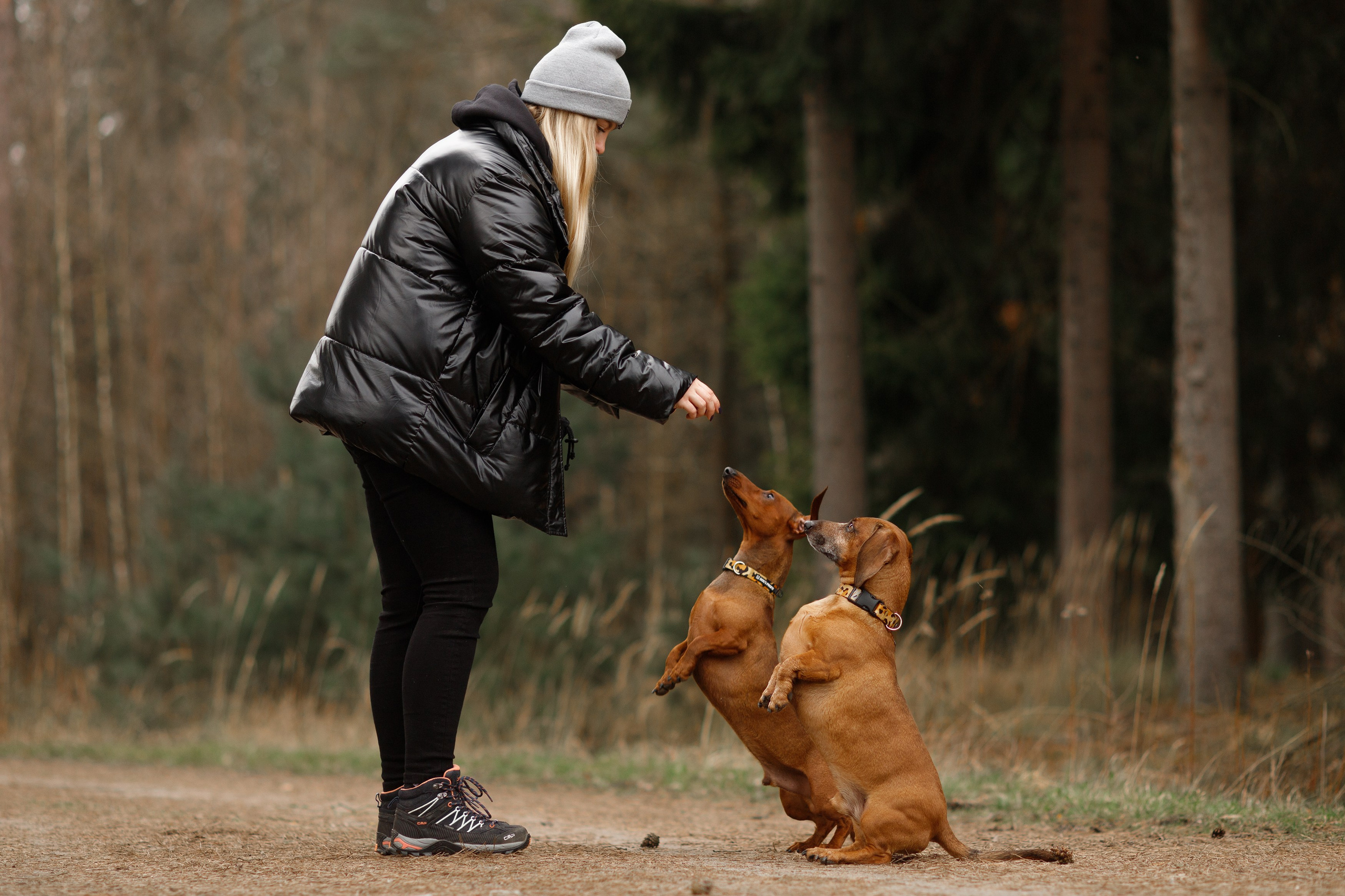 Ania, Franek & Vincent. Kaja | fotograf psów we Wrocławiu