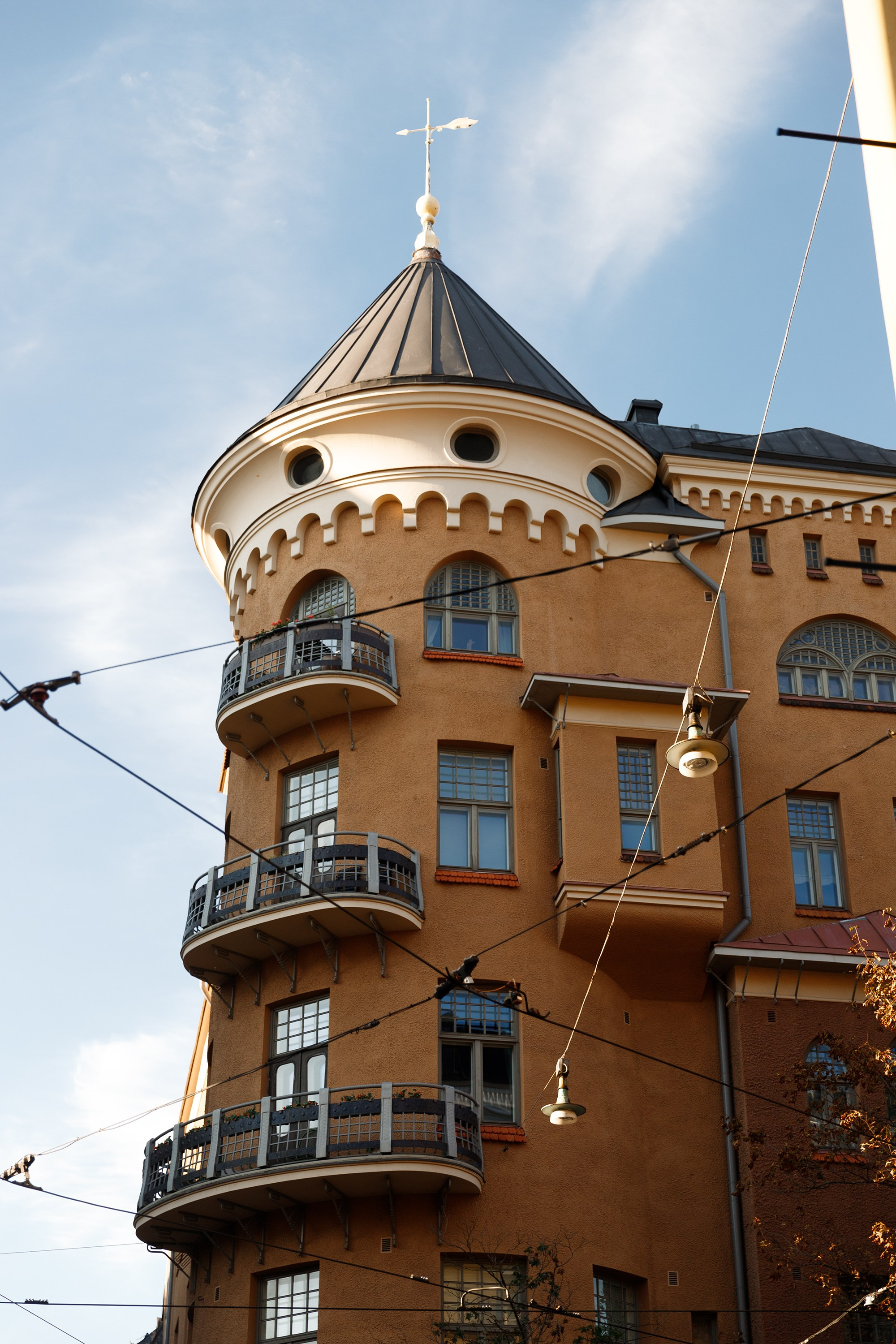 Helsinki. Kaja | fotograf psów we Wrocławiu