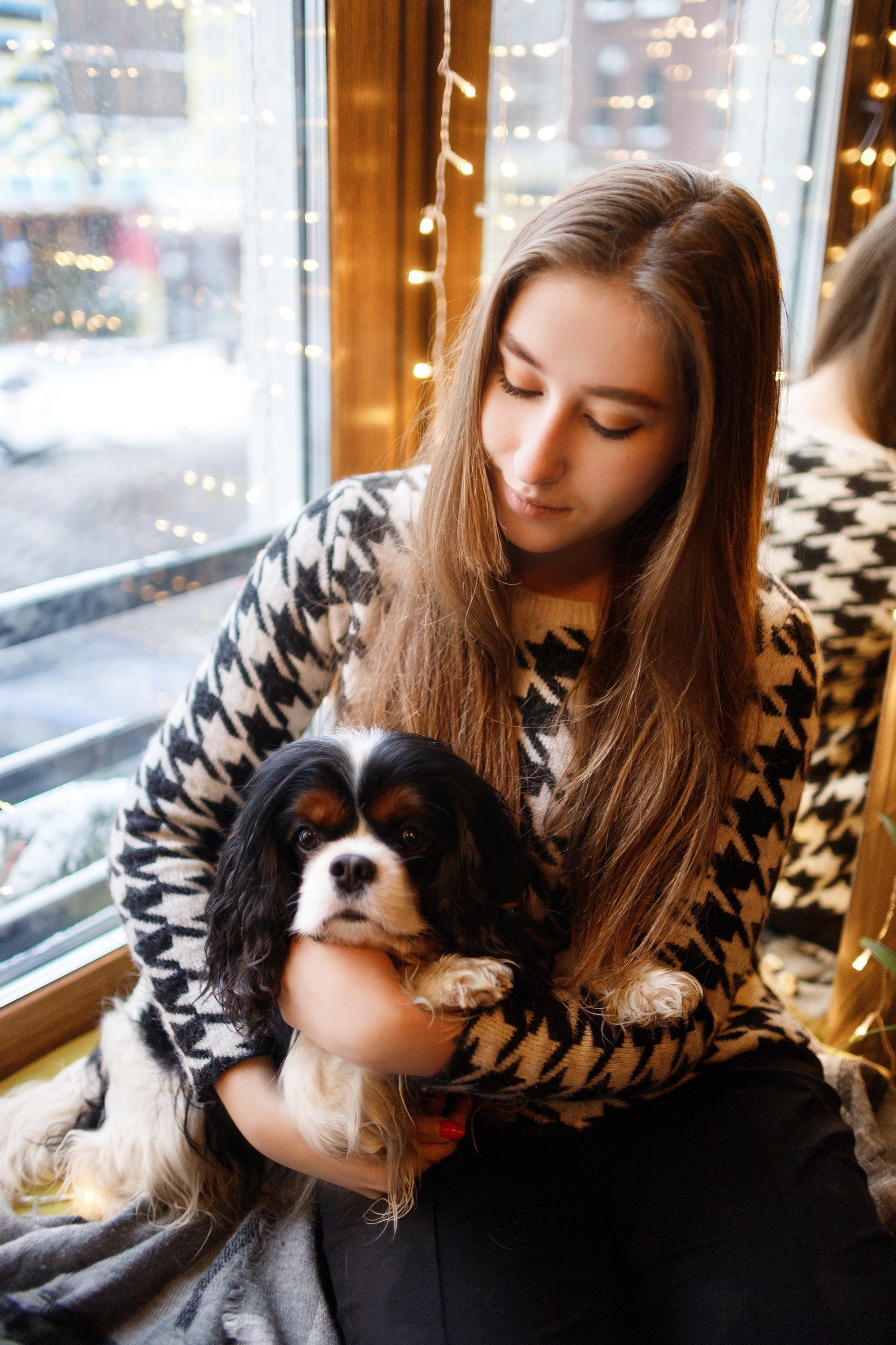 Uliana & winter spaniels. Kaja | fotograf psów we Wrocławiu