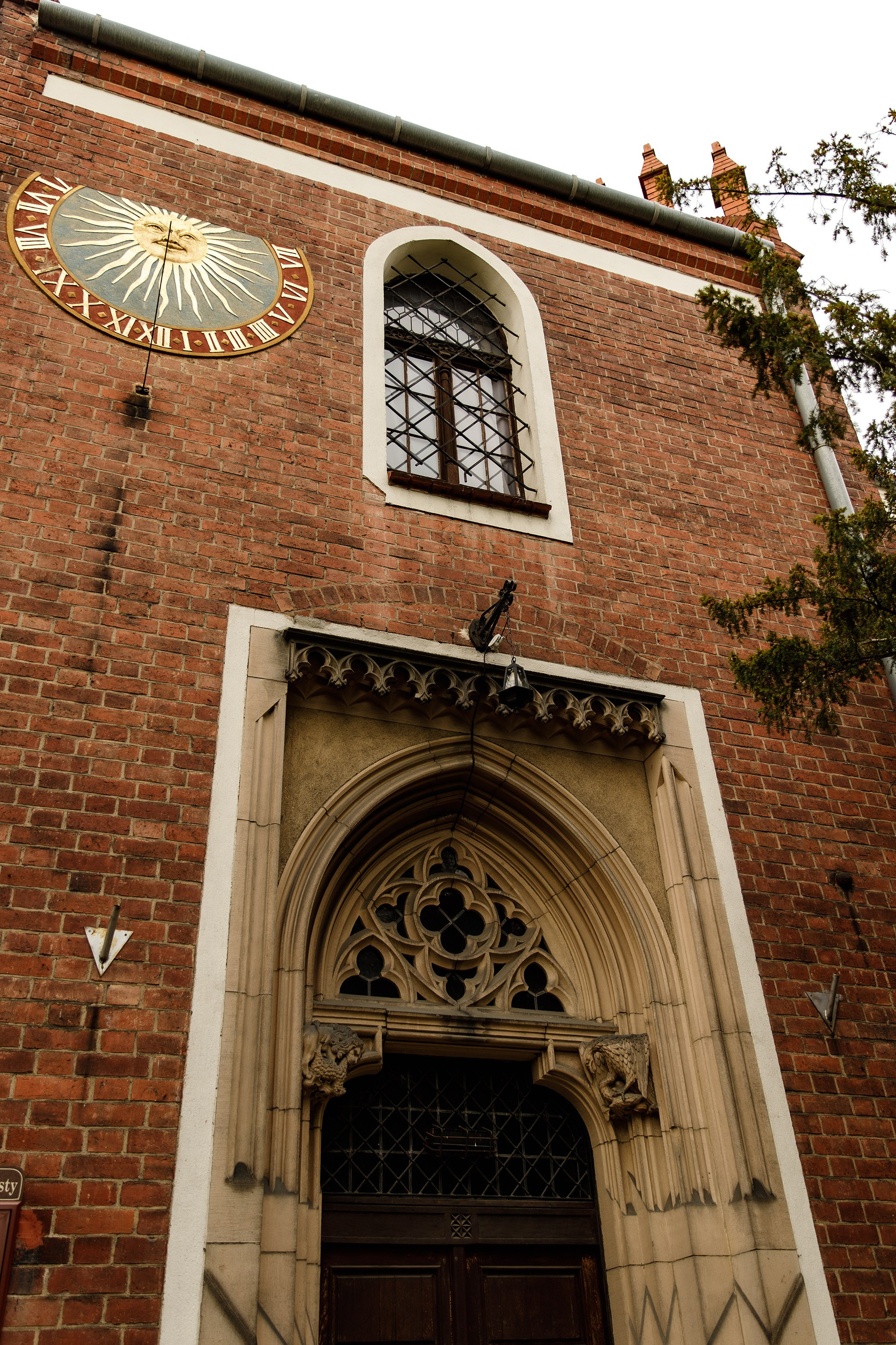 Oleśnica castle. Kaja | fotograf psów we Wrocławiu