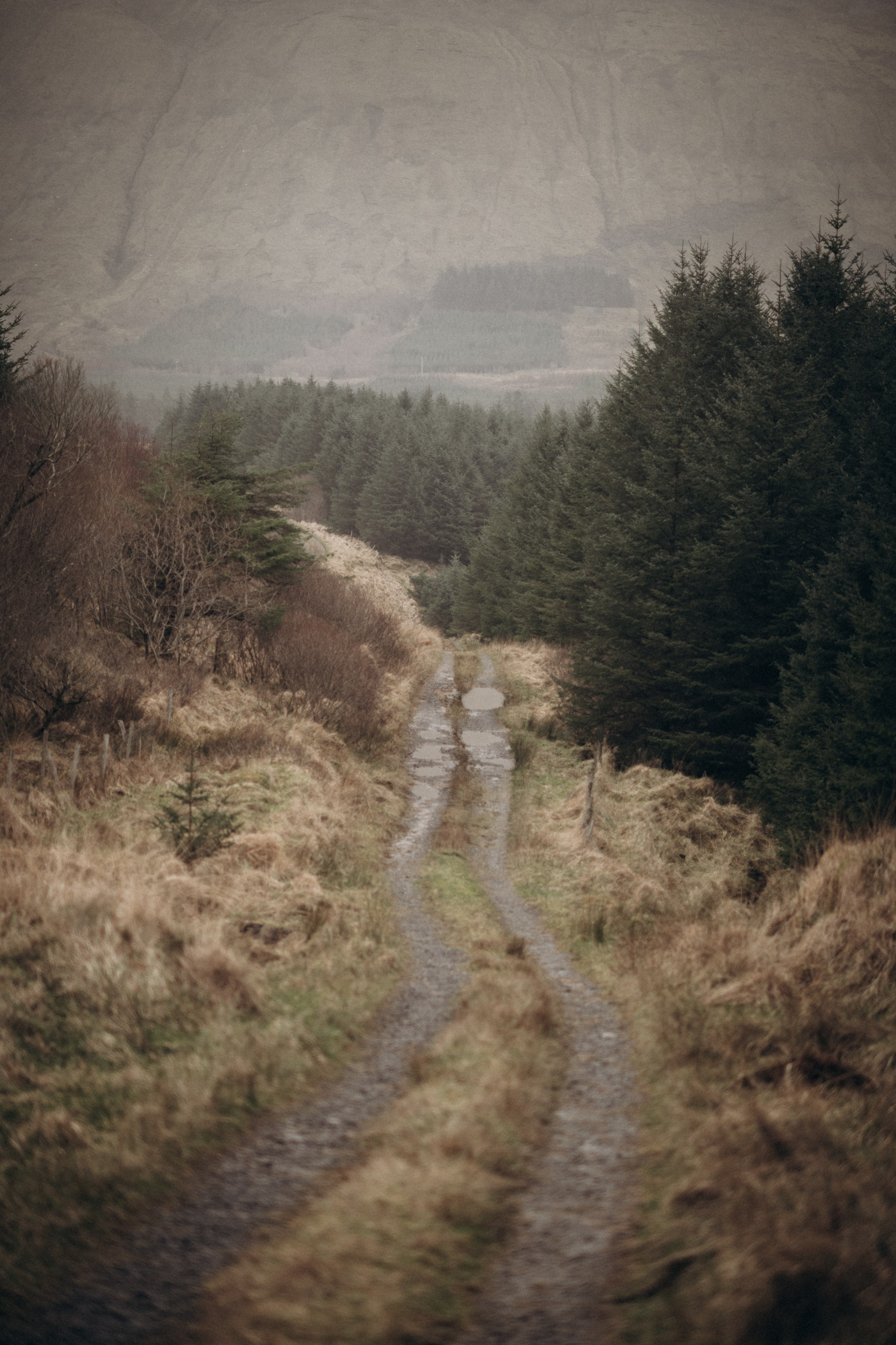 sligo gleniff horseshoe