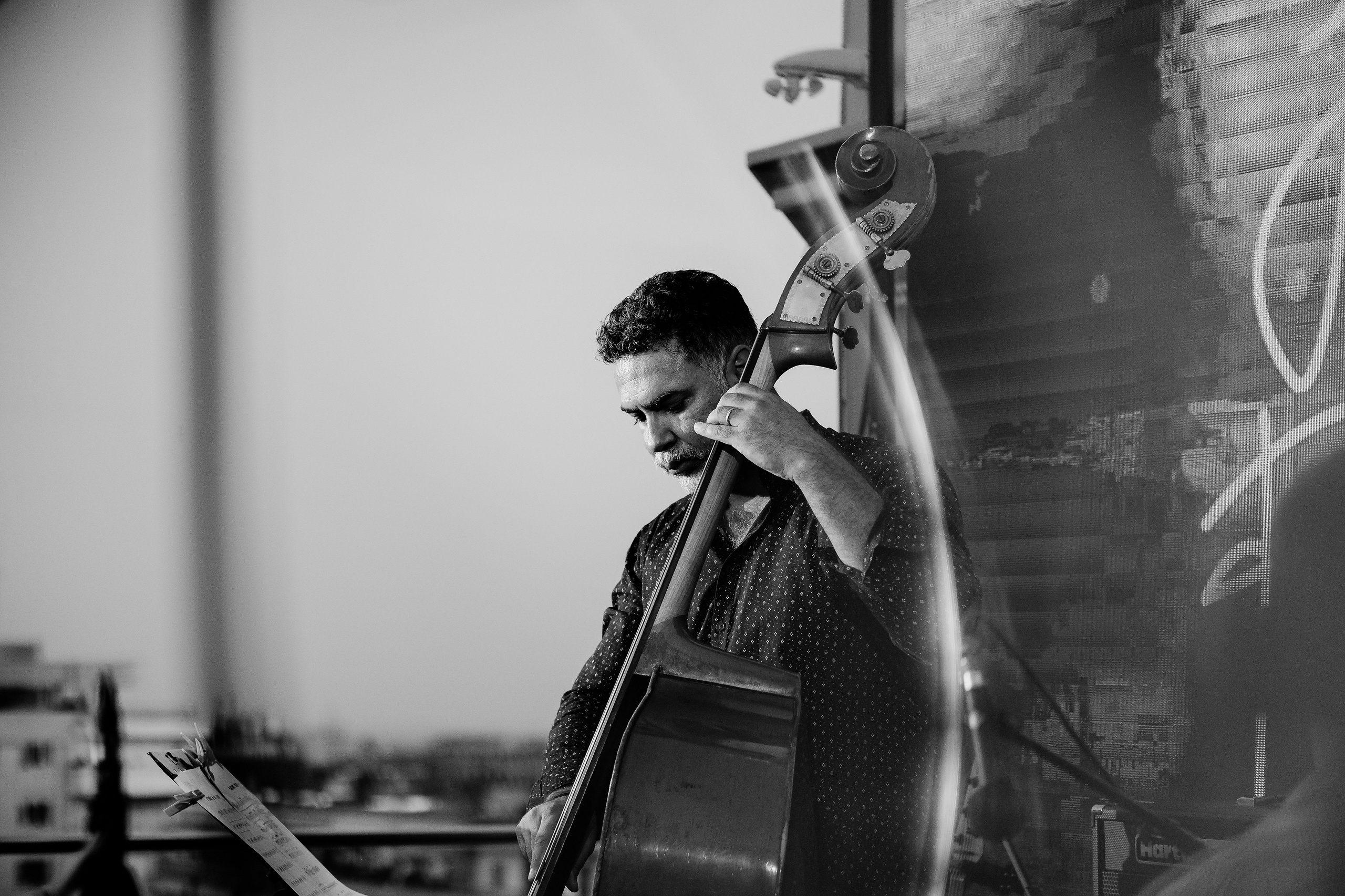 Razvan Cojanu. Hornetart