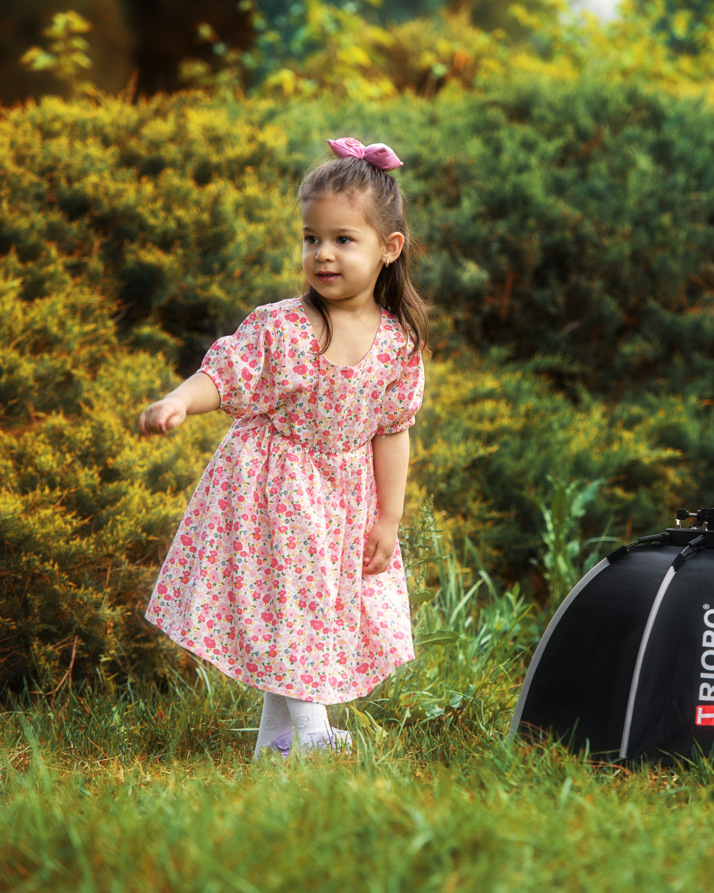 «Ассистент фотографа». Ваш фотограф в Ашхабаде Гамлет Осипов