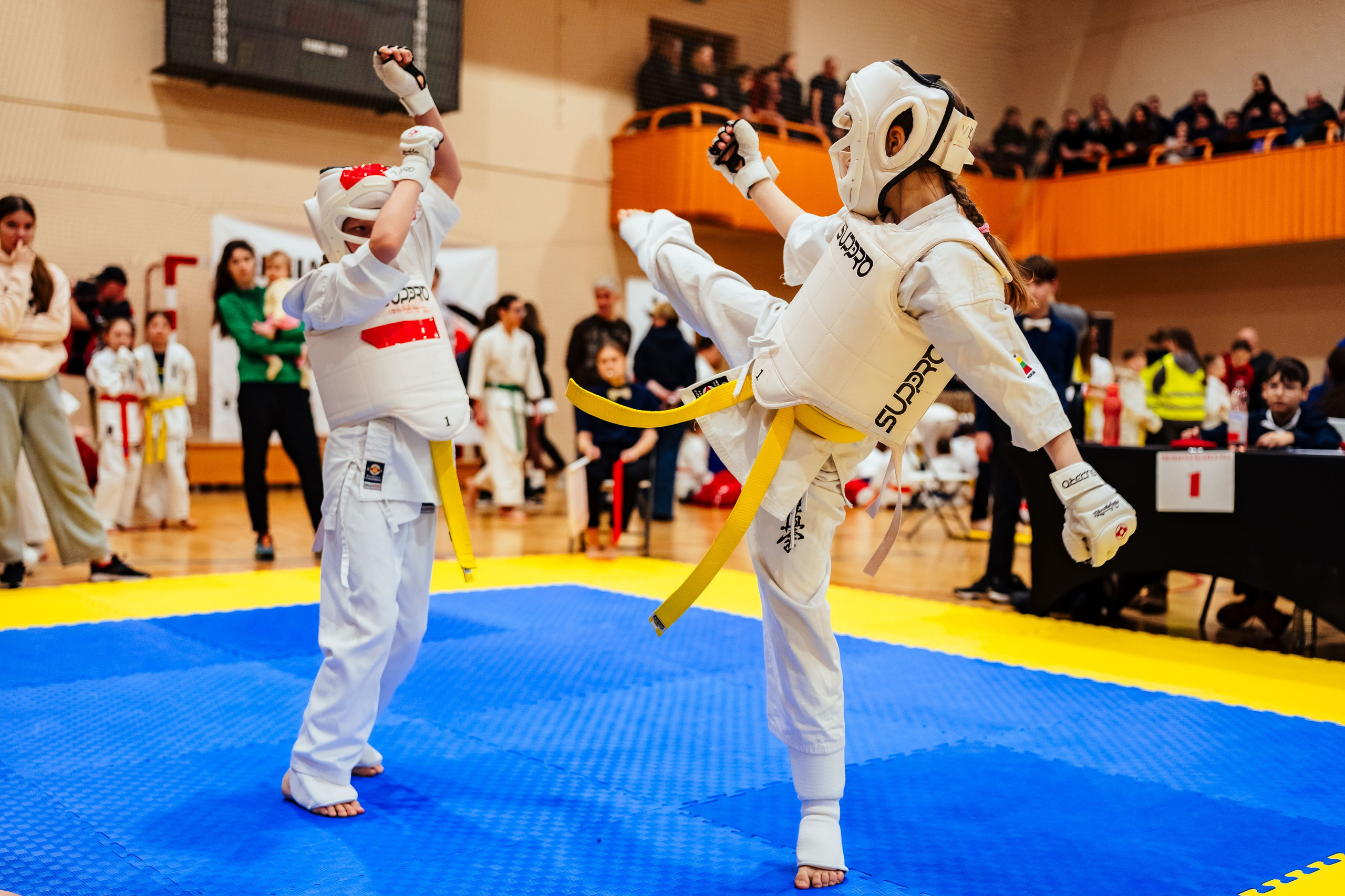 Vilniaus Karate Lyga II Etapas. OnePIXEL