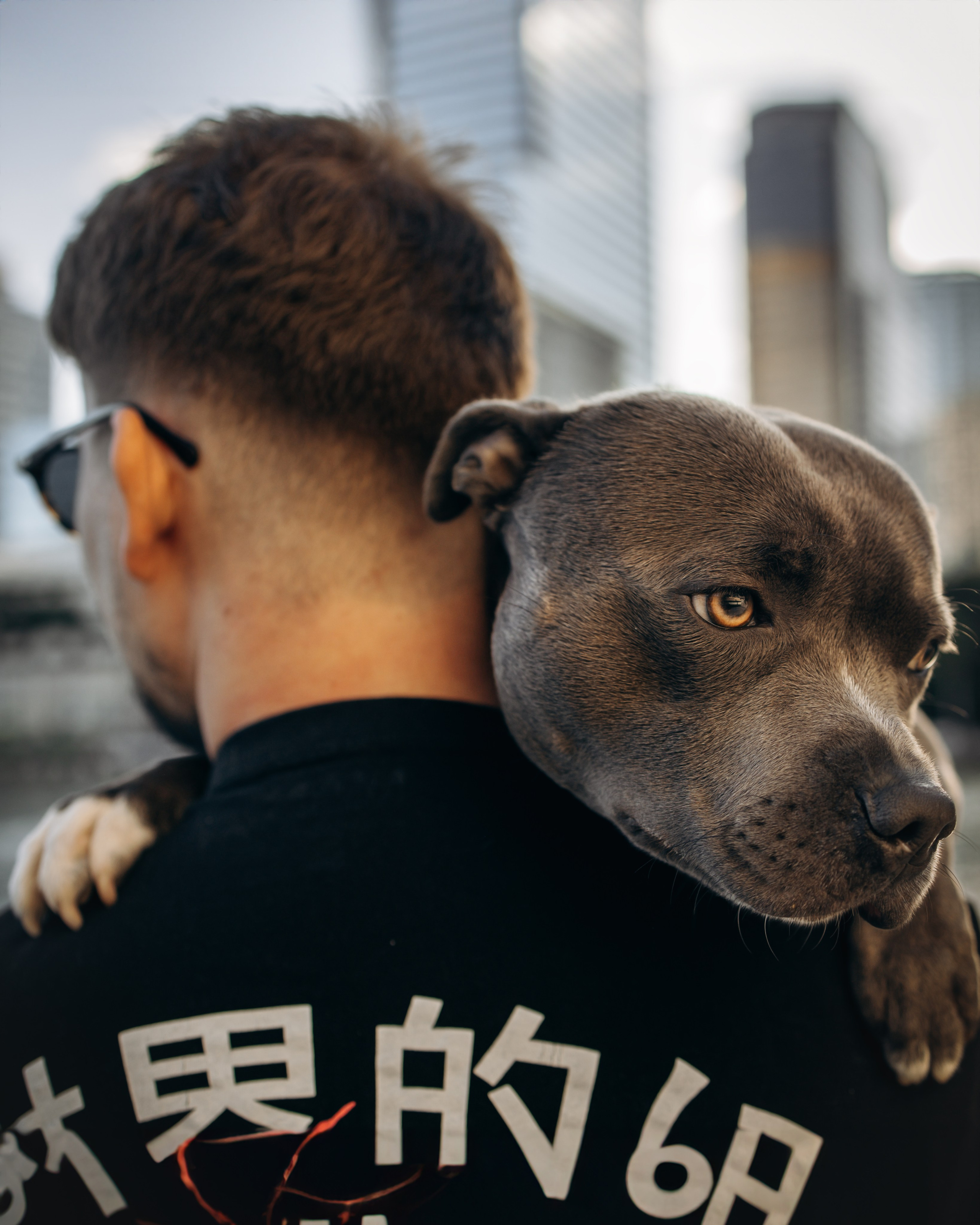 Cosmo & Serge. Pet Photographer Viktoriya Aleshenko