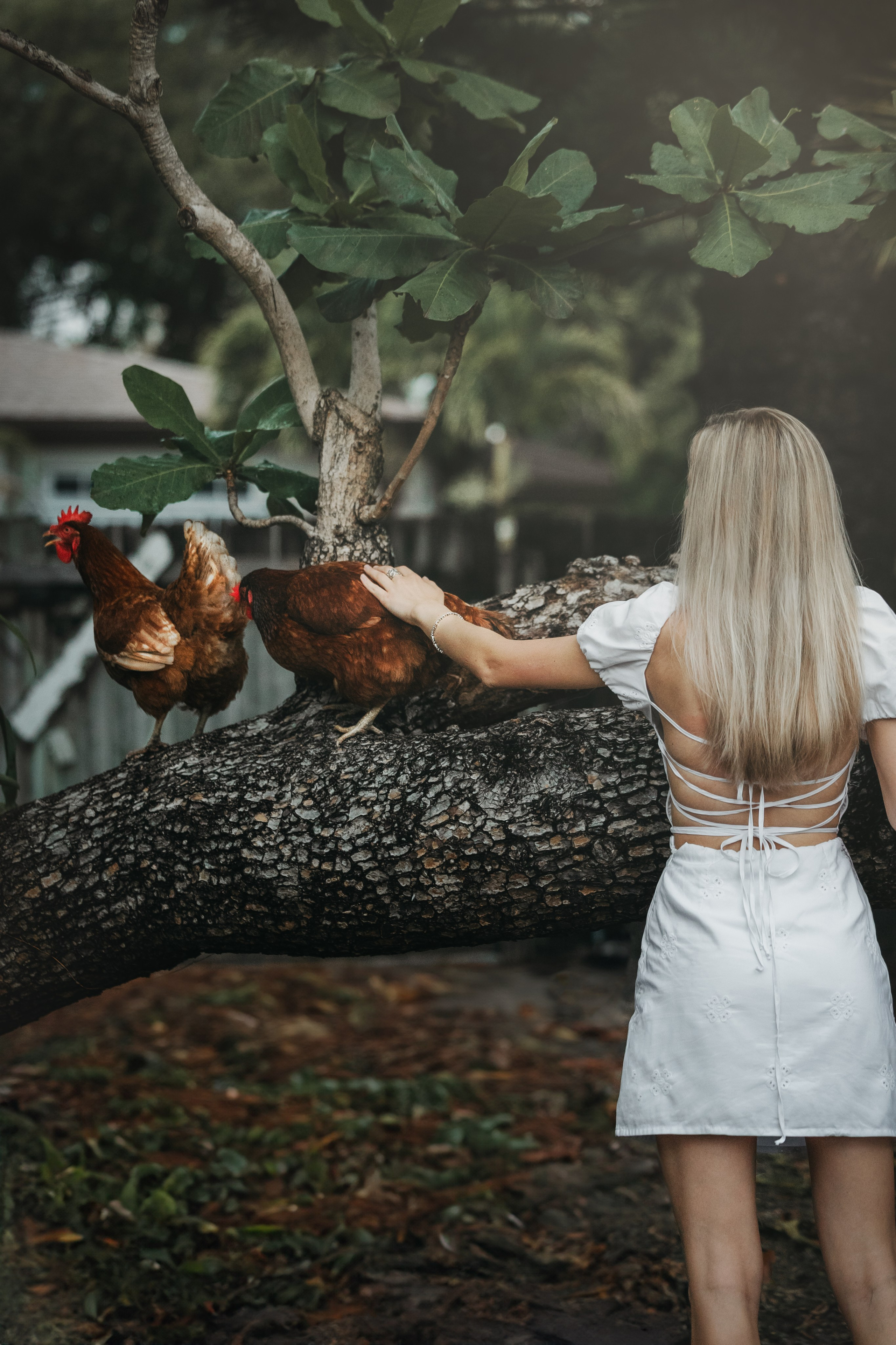 Coco & Chanel. Pet Photographer Viktoriya Aleshenko