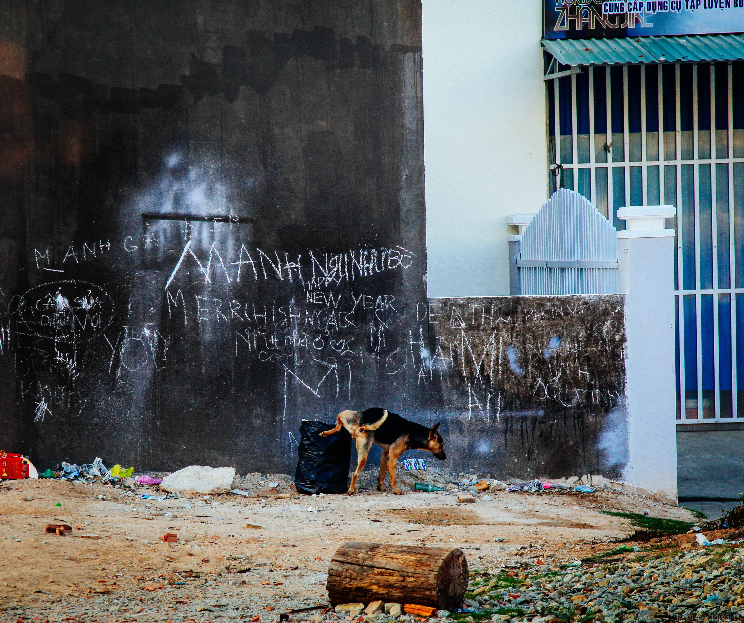 ВЬЕТНАМ. Стрит-фотография, полная абсурда, идиотизма и красоты