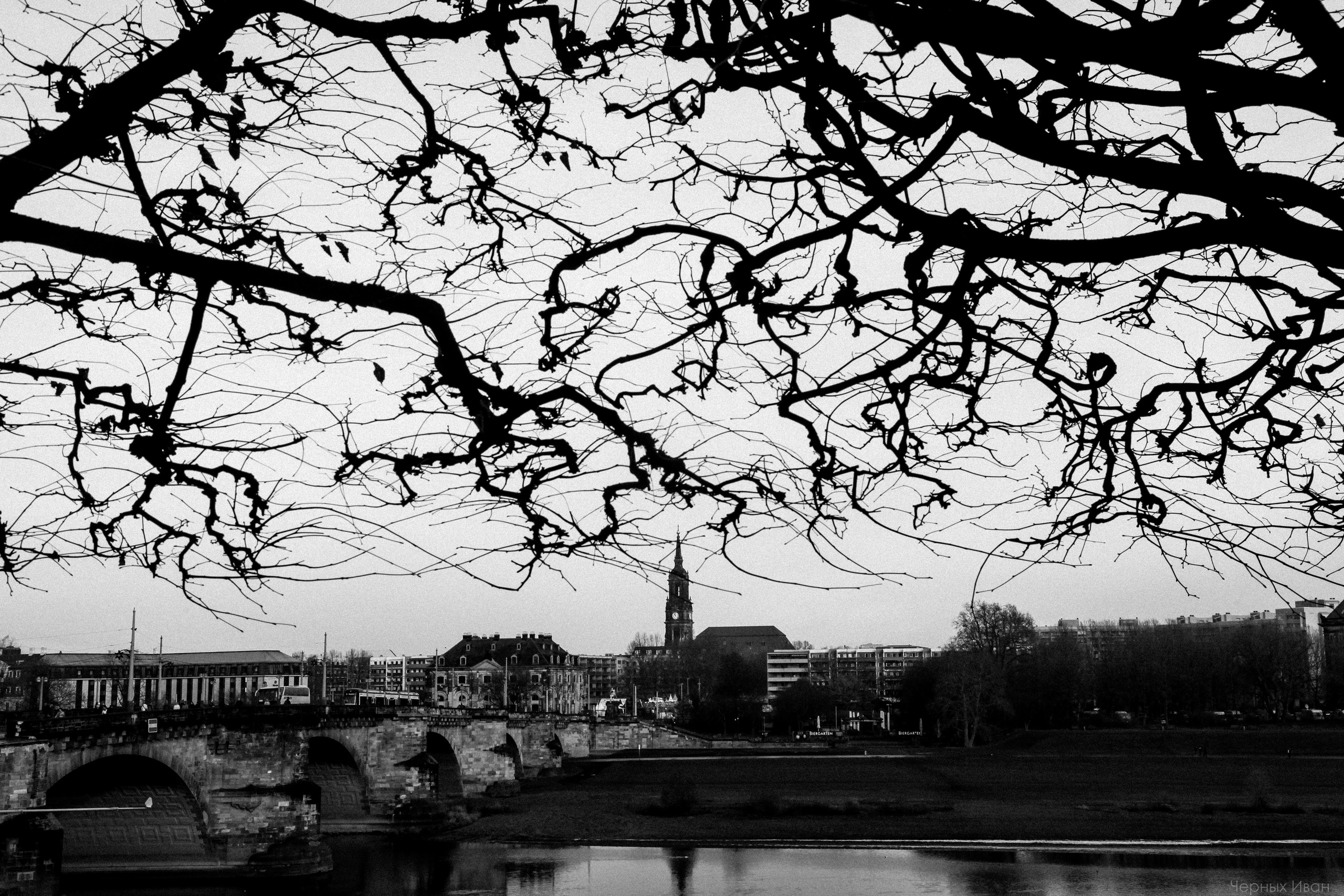 ПЕЙЗАЖИ. Стрит-фотография, полная абсурда, идиотизма и красоты