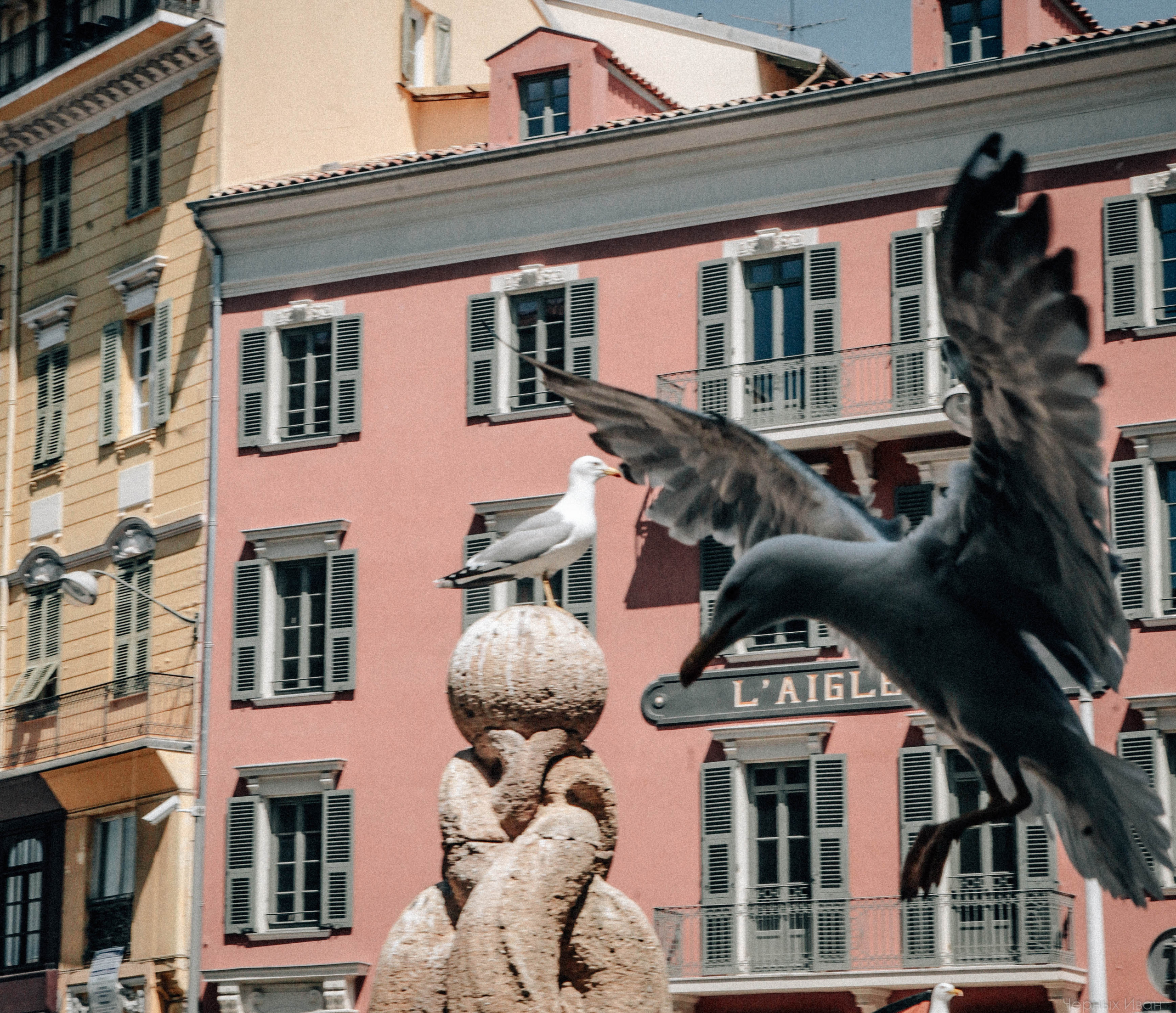 ФРАНЦИЯ. Стрит-фотография, полная абсурда, идиотизма и красоты