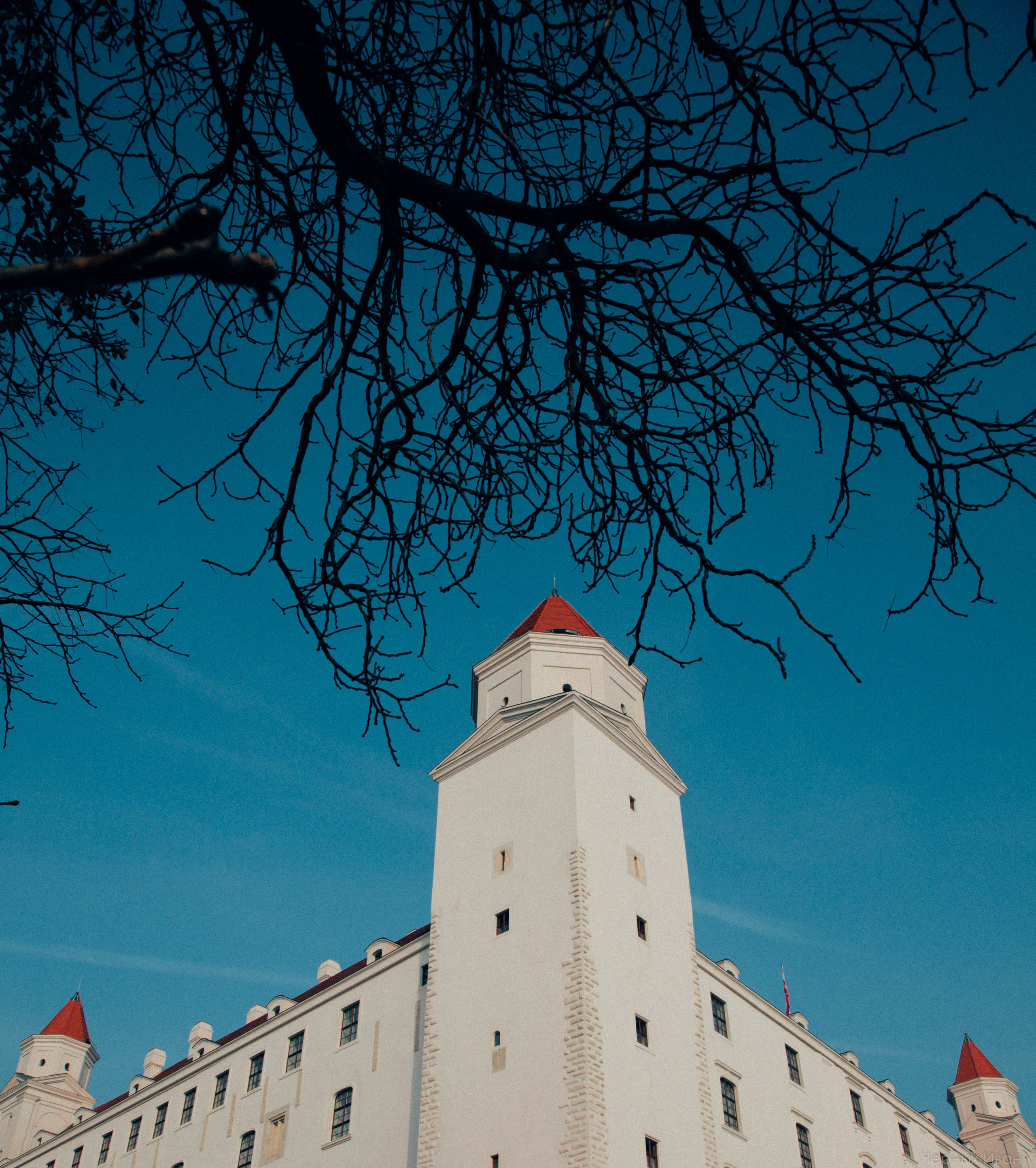 БРАТИСЛАВА. Стрит-фотография, полная абсурда, идиотизма и красоты