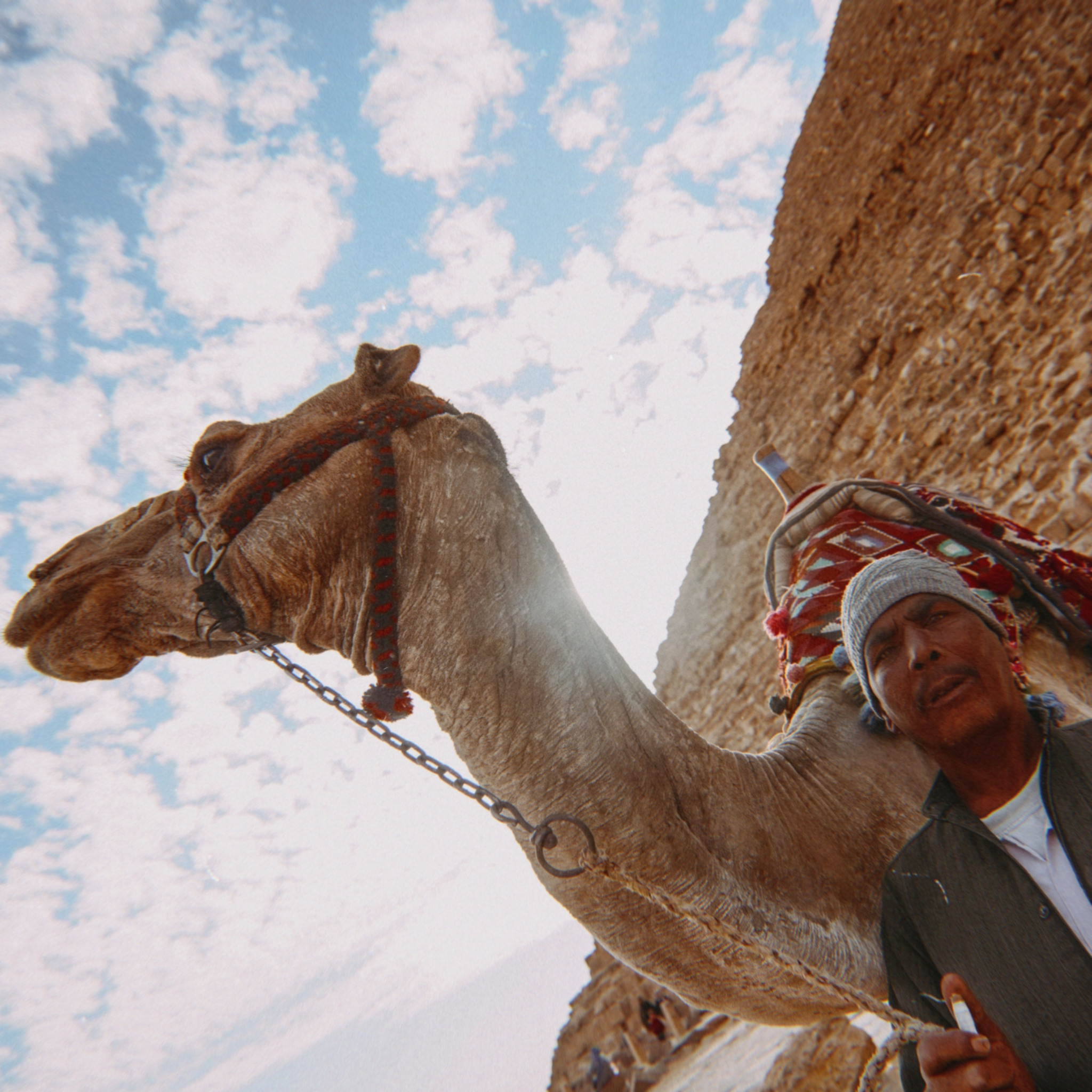 ЕГИПЕТ. Стрит-фотография, полная абсурда, идиотизма и красоты