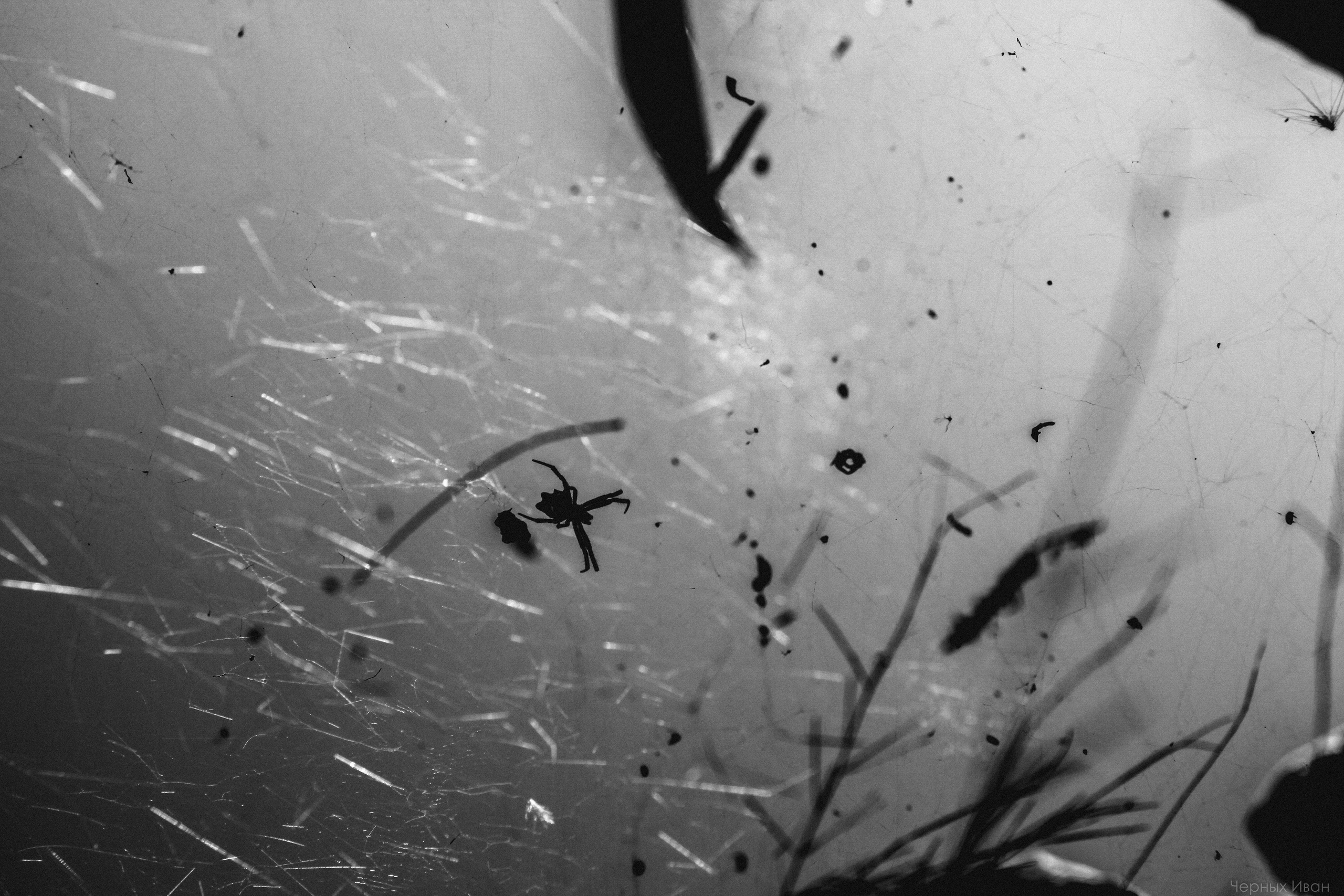 ИСПАНИЯ. Стрит-фотография, полная абсурда, идиотизма и красоты