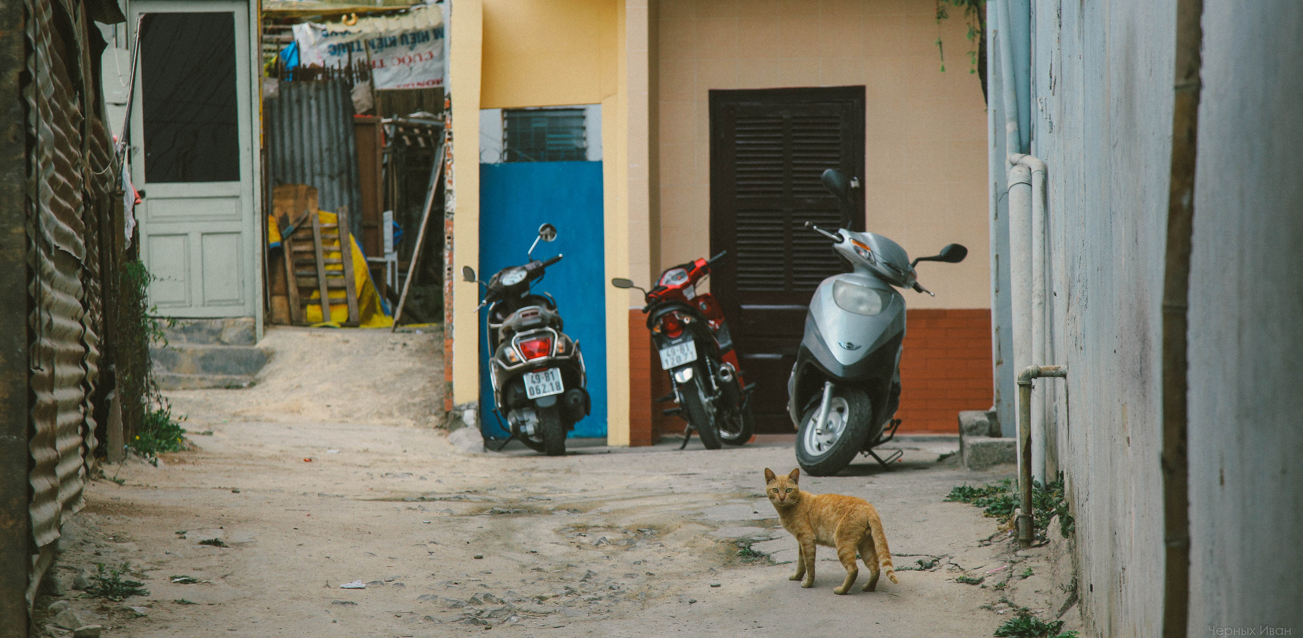 ВЬЕТНАМ. Стрит-фотография, полная абсурда, идиотизма и красоты