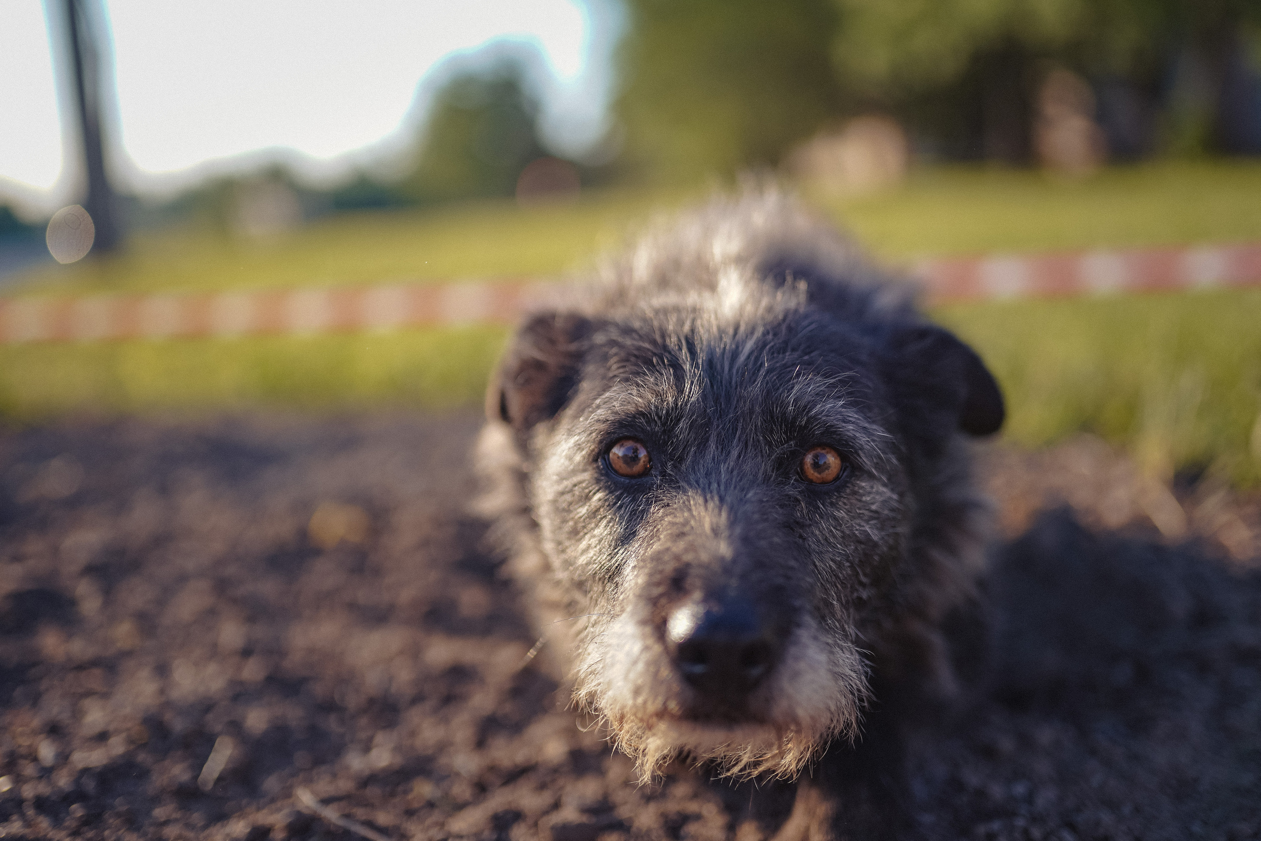 2019. Стрит-фотография, полная абсурда, идиотизма и красоты