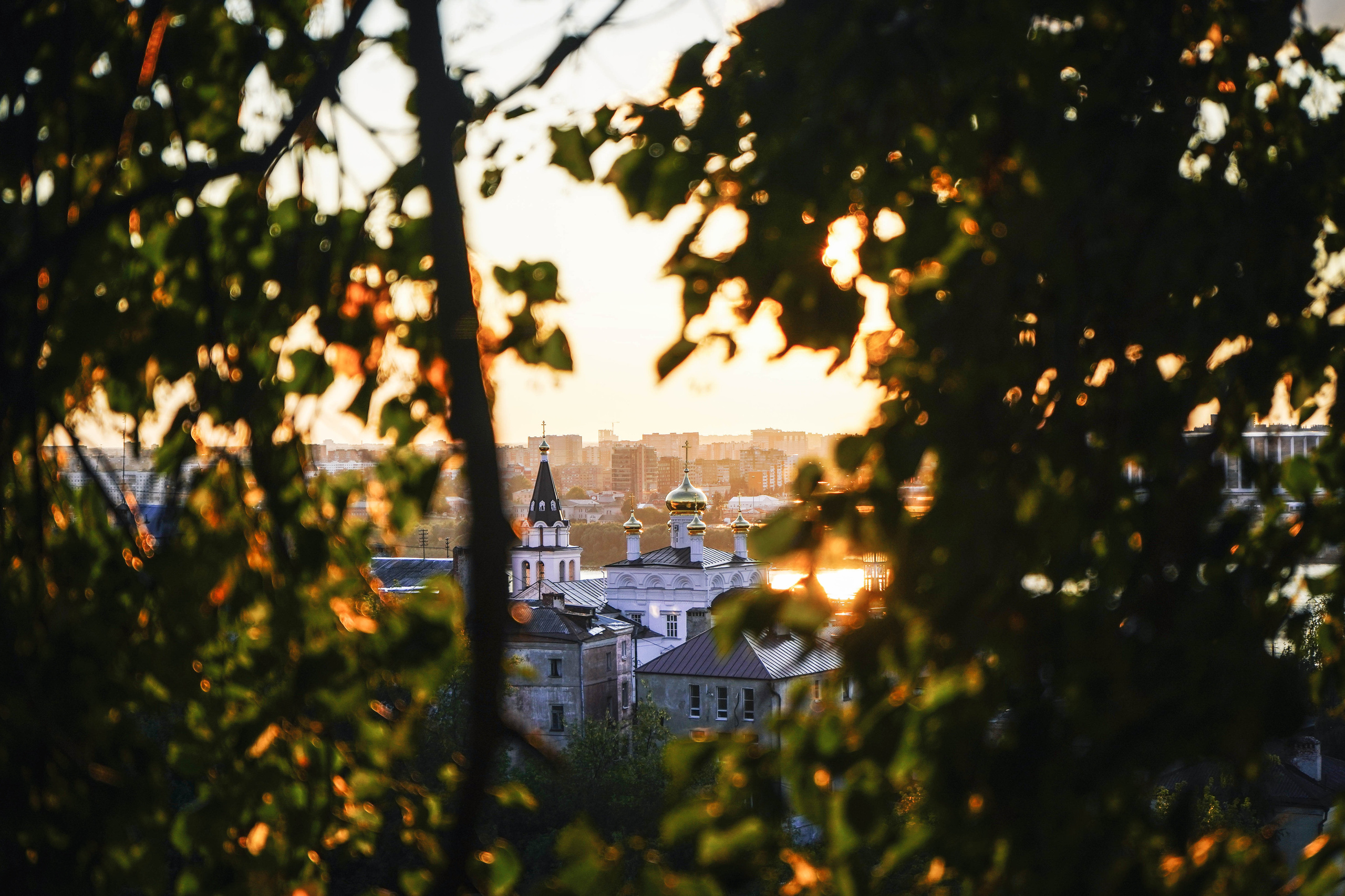 ПЕЙЗАЖИ. Стрит-фотография, полная абсурда, идиотизма и красоты