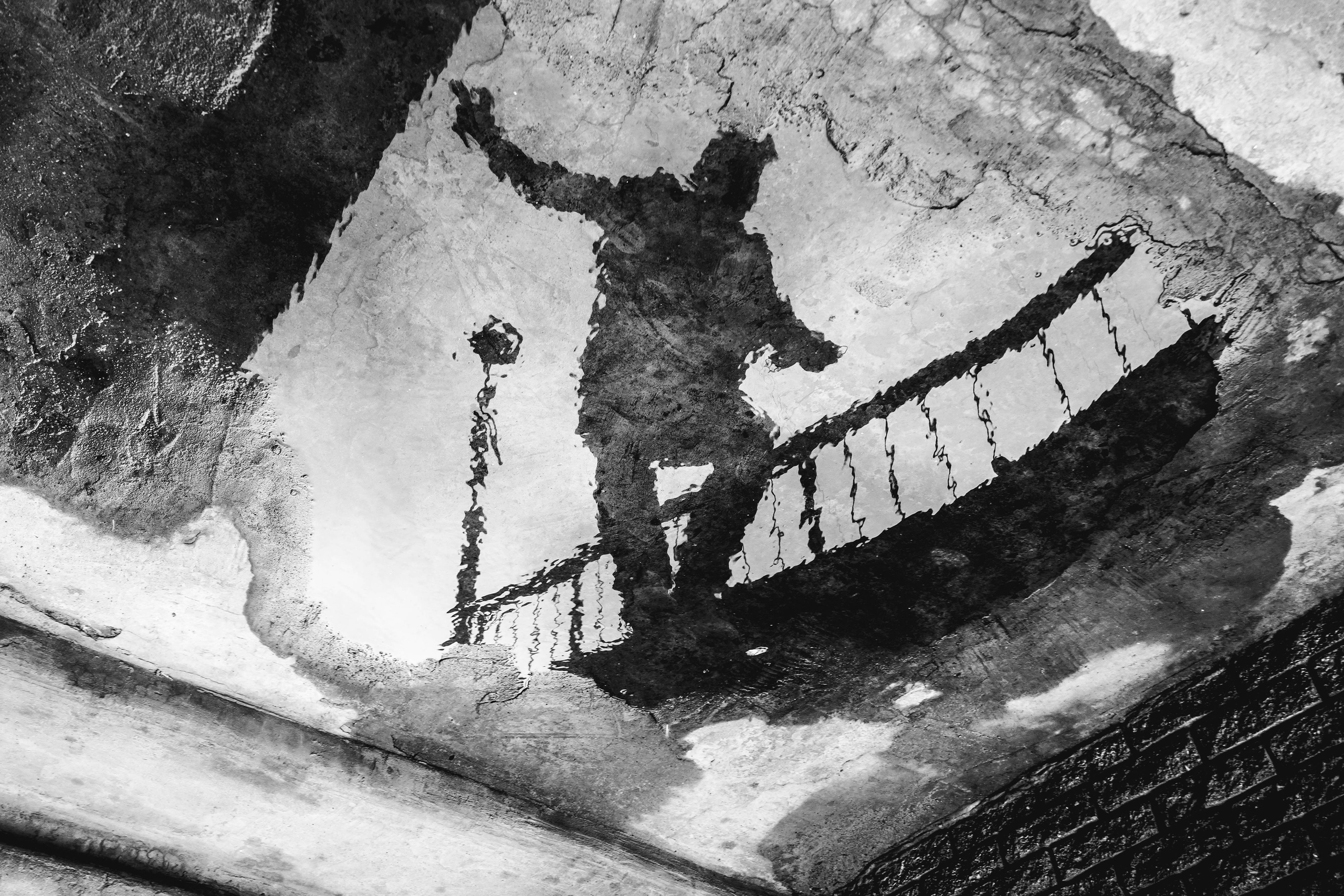 2018. Стрит-фотография, полная абсурда, идиотизма и красоты