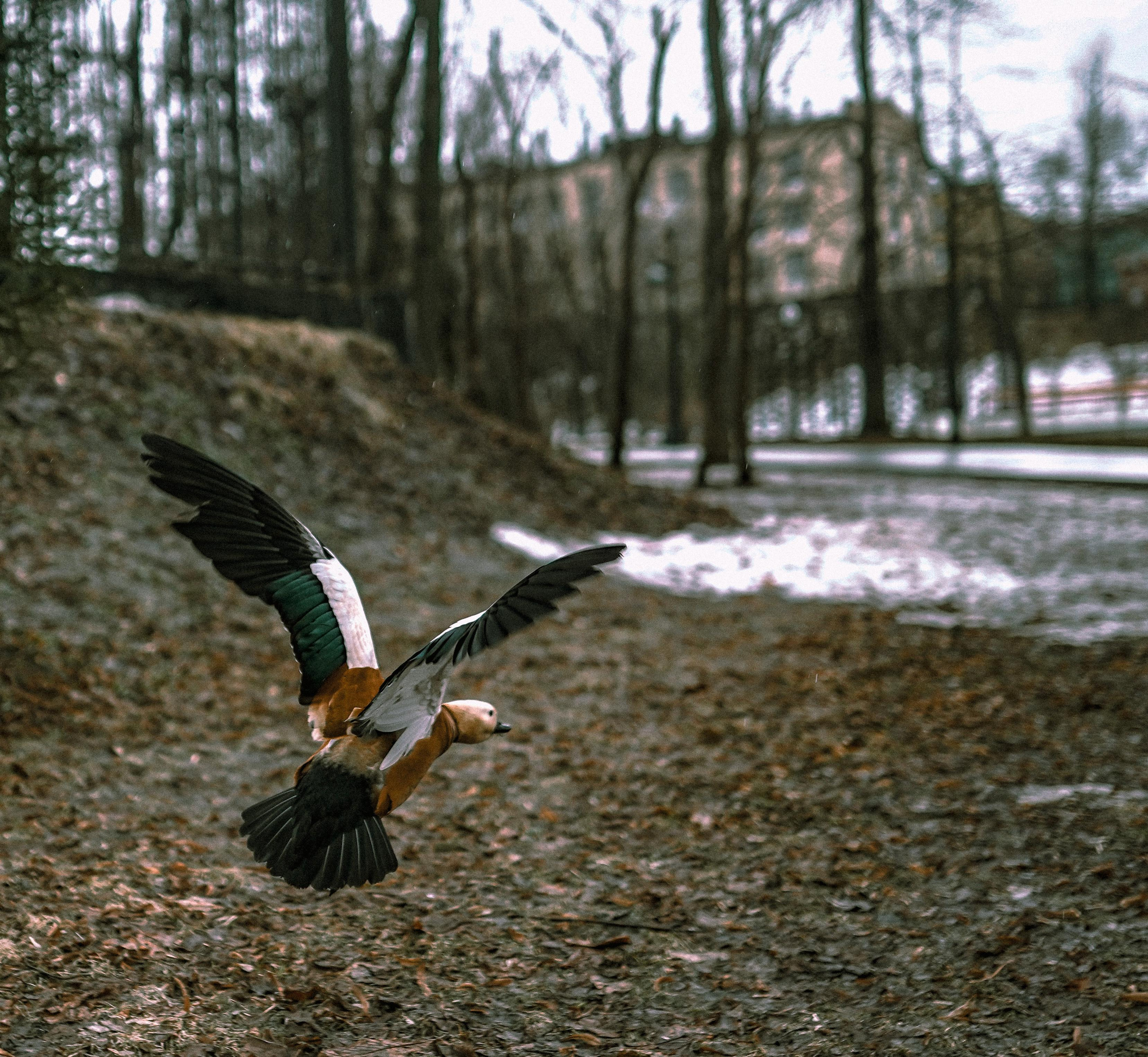 2021. Стрит-фотография, полная абсурда, идиотизма и красоты