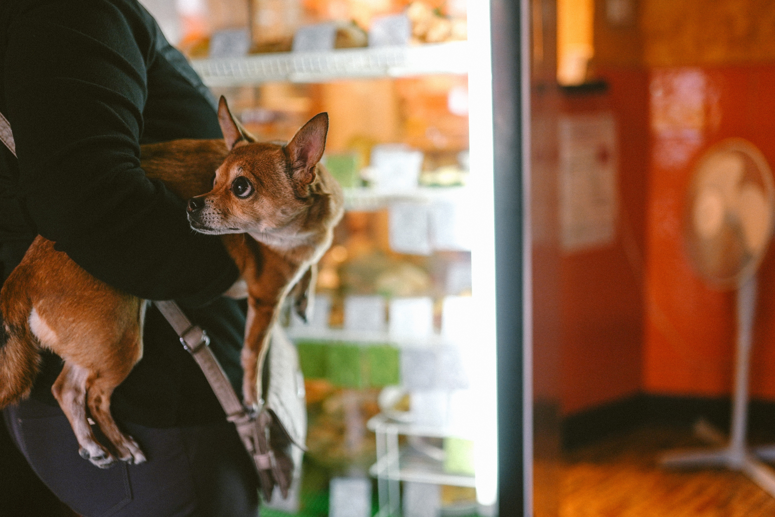 2019. Стрит-фотография, полная абсурда, идиотизма и красоты