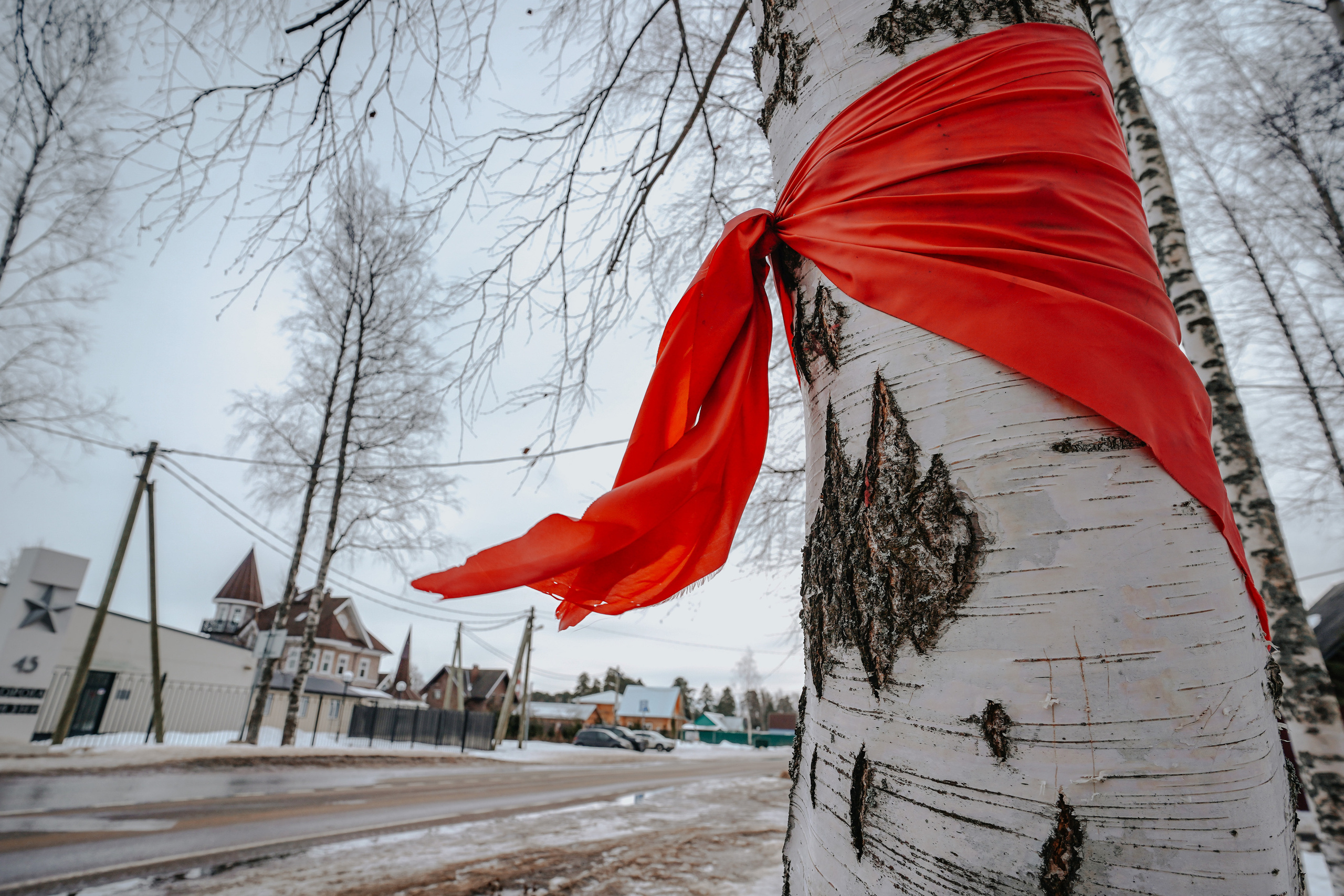 2021. Стрит-фотография, полная абсурда, идиотизма и красоты